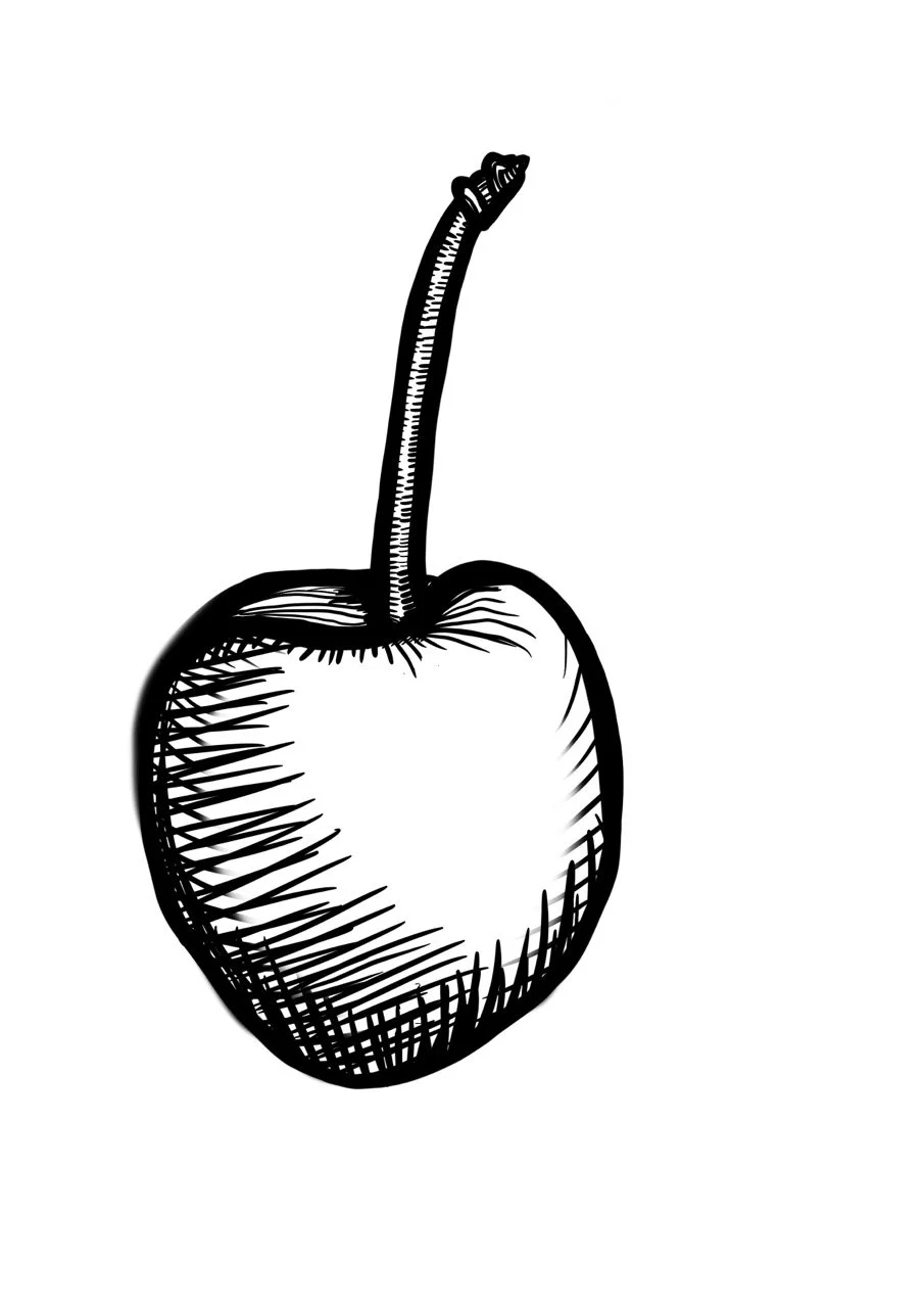 Zeitgeist - Cherry Illustration Large.jpeg