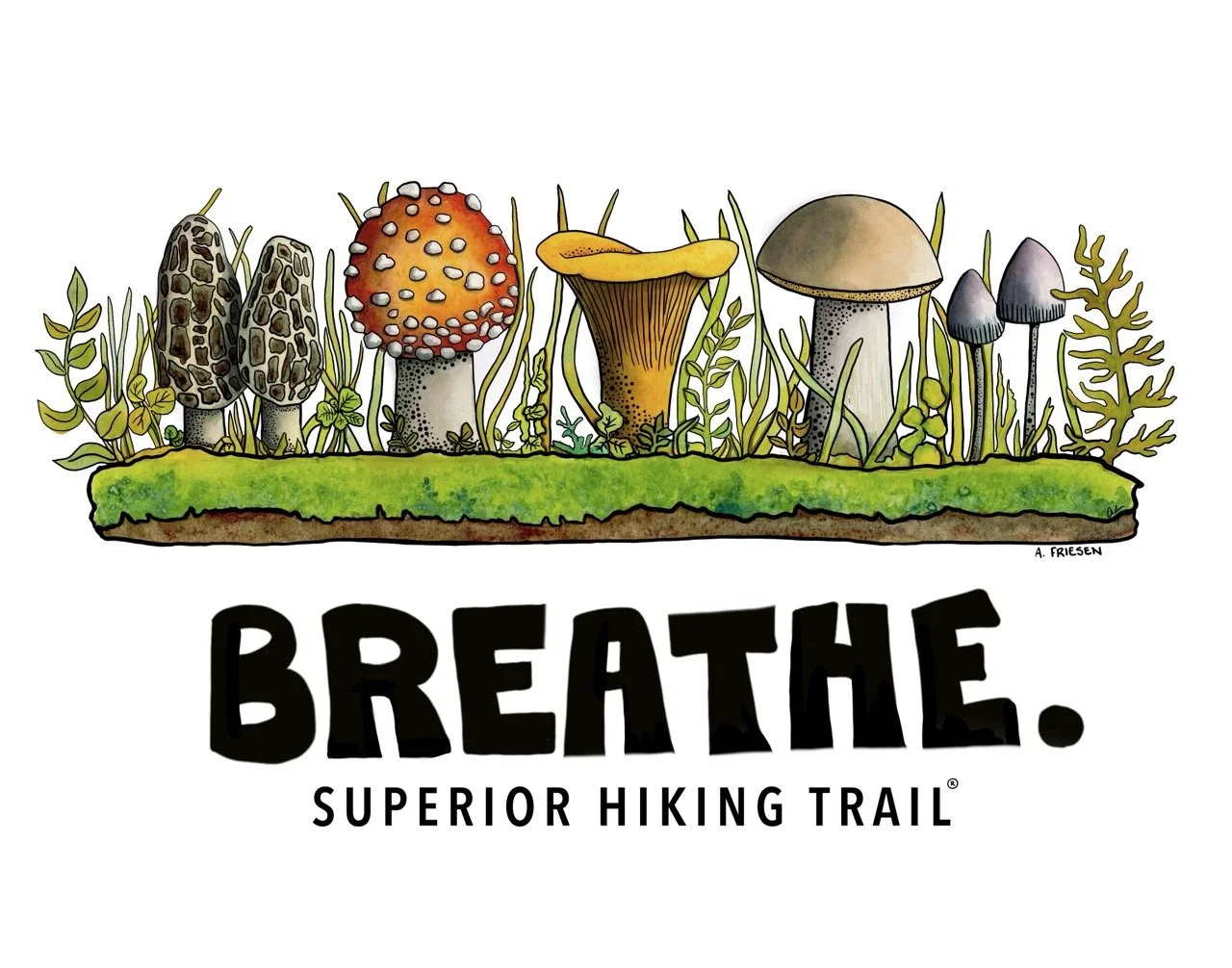 Superior Hiking Trail