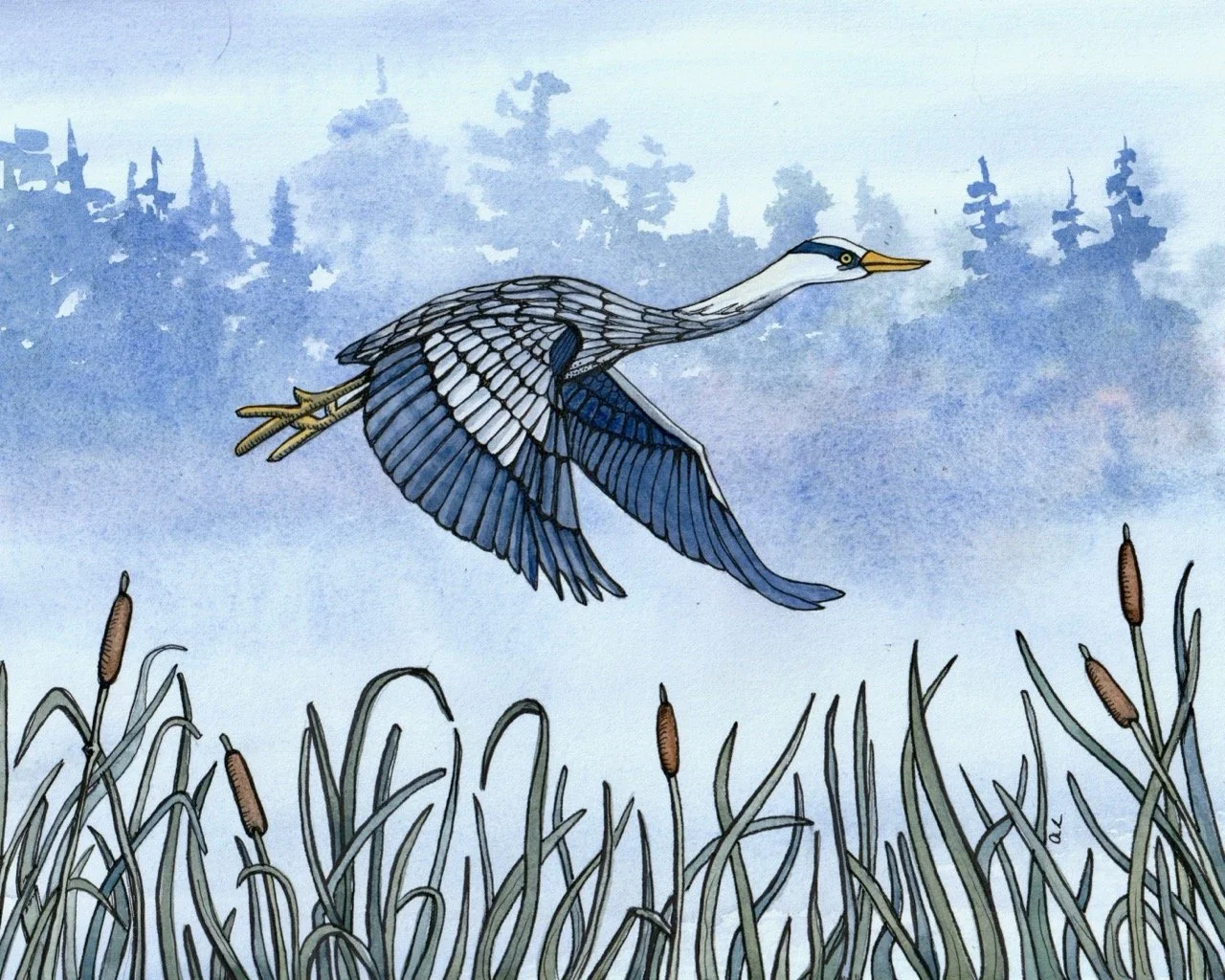 Watercolor painting of a heron flying above tall grass with cattails, with a misty forest in the background.