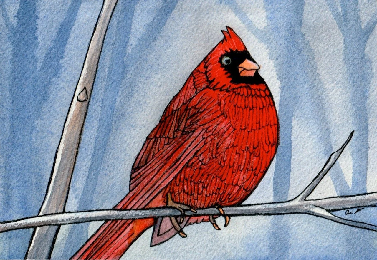 Watercolor painting of a red cardinal bird perched on a branch against a background of  winter sky and tree branches