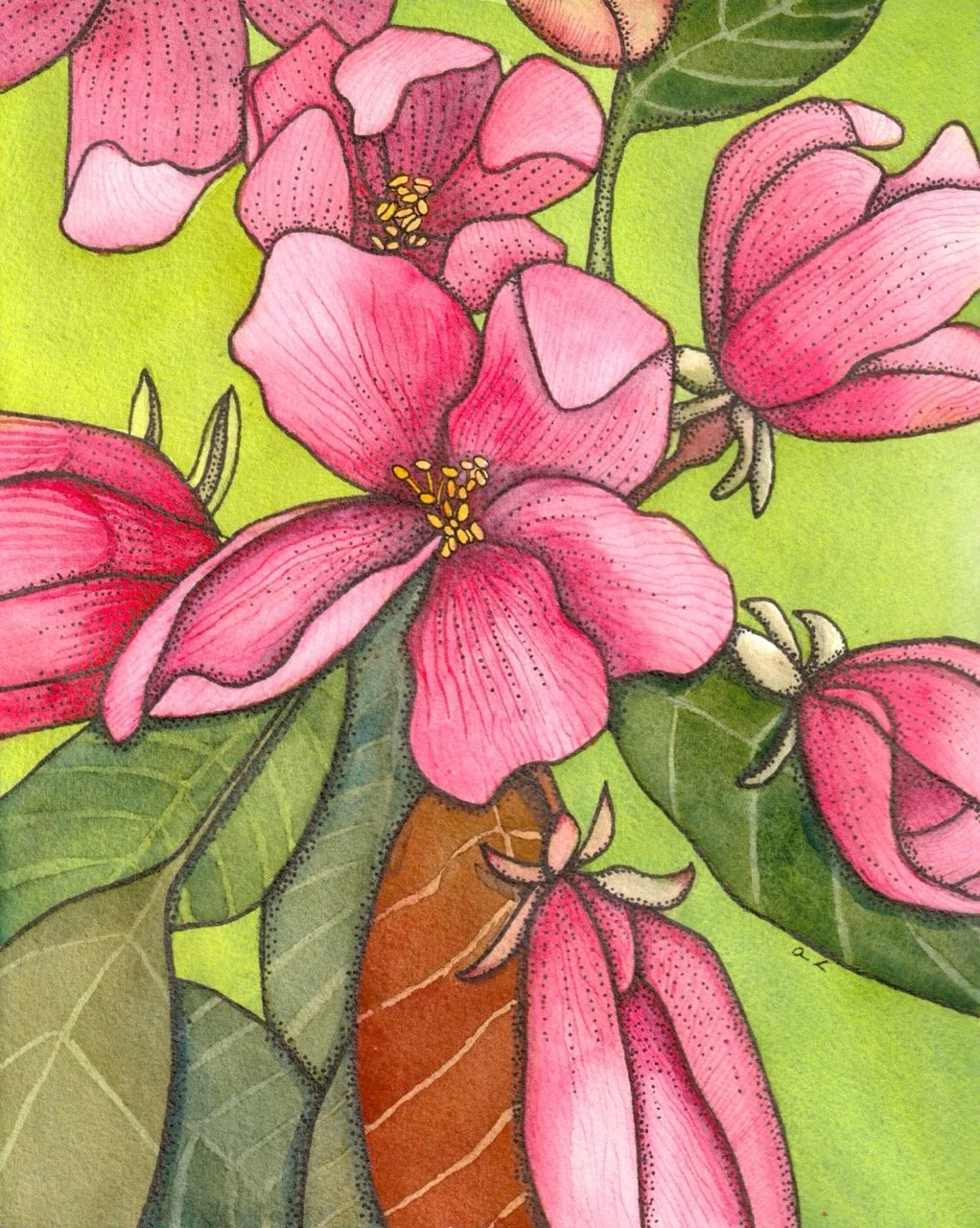 Pink flowers with yellow stamens and green leaves against a light green background.