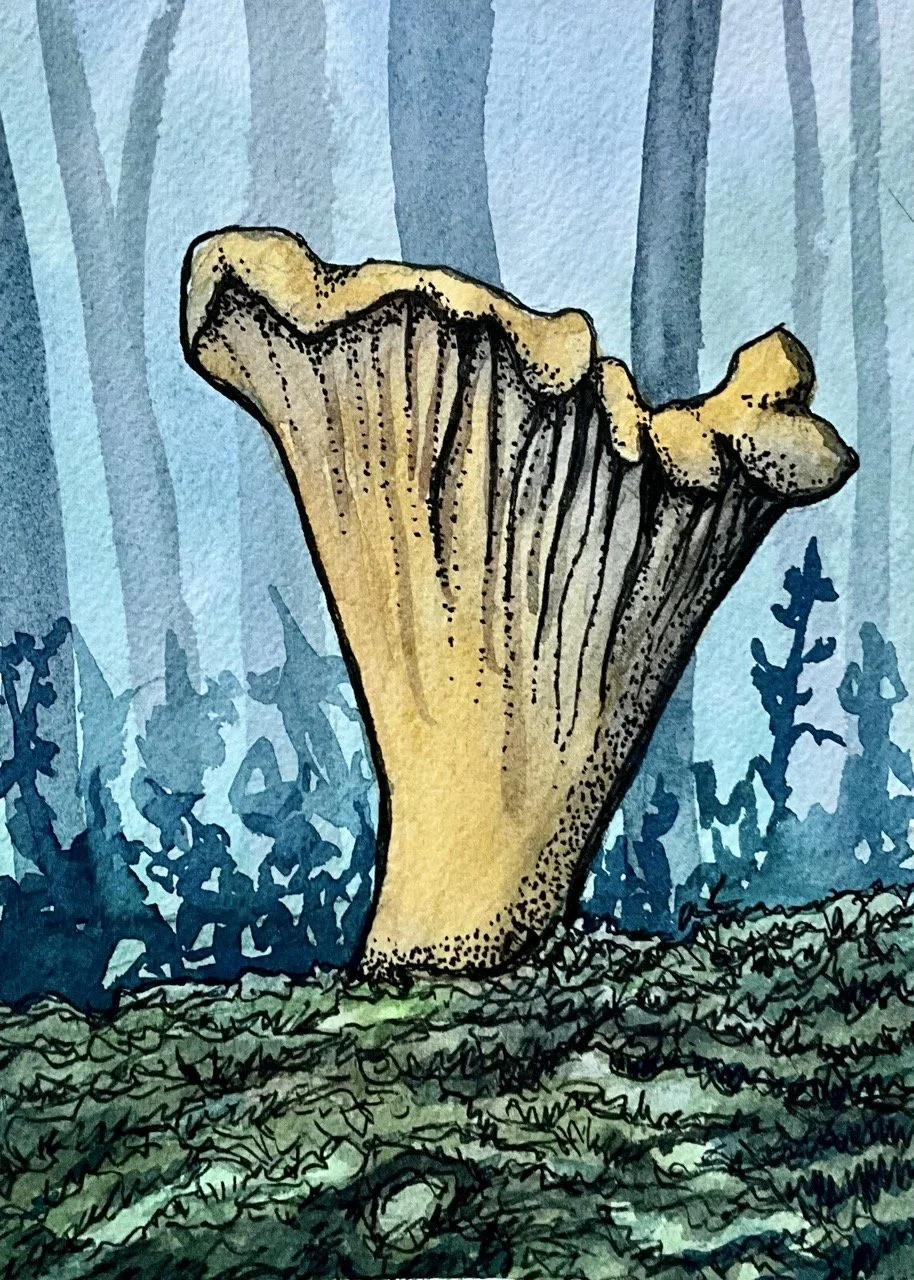 Watercolor painting of a large chanterelle mushroom with a yellowish cap and a textured stem, set against a forest background with trees and plants.