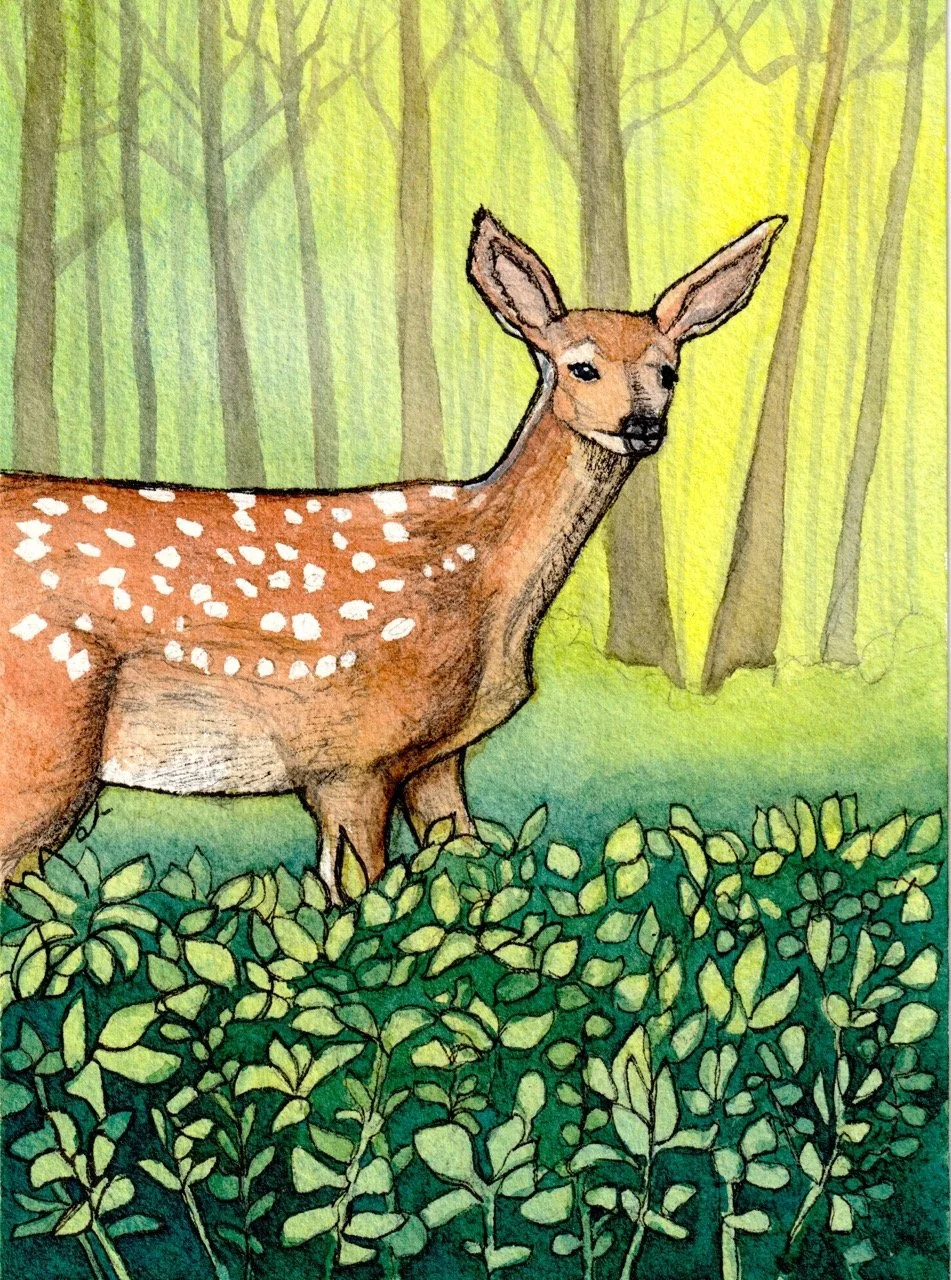 Watercolor painting of a deer with white spots on its back, standing in a green forest with trees and bushes.