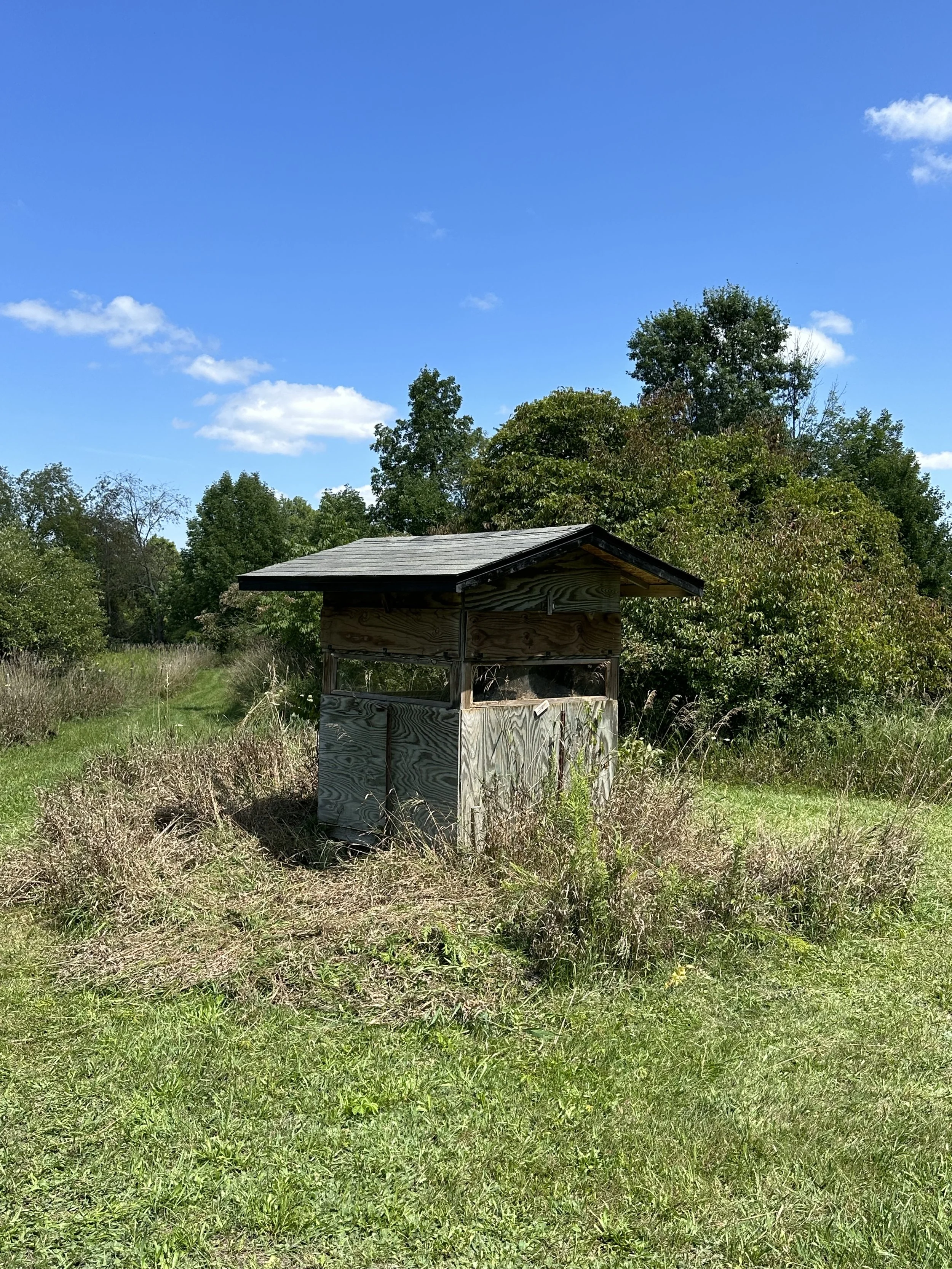 Before the Deer Shack Remodel
