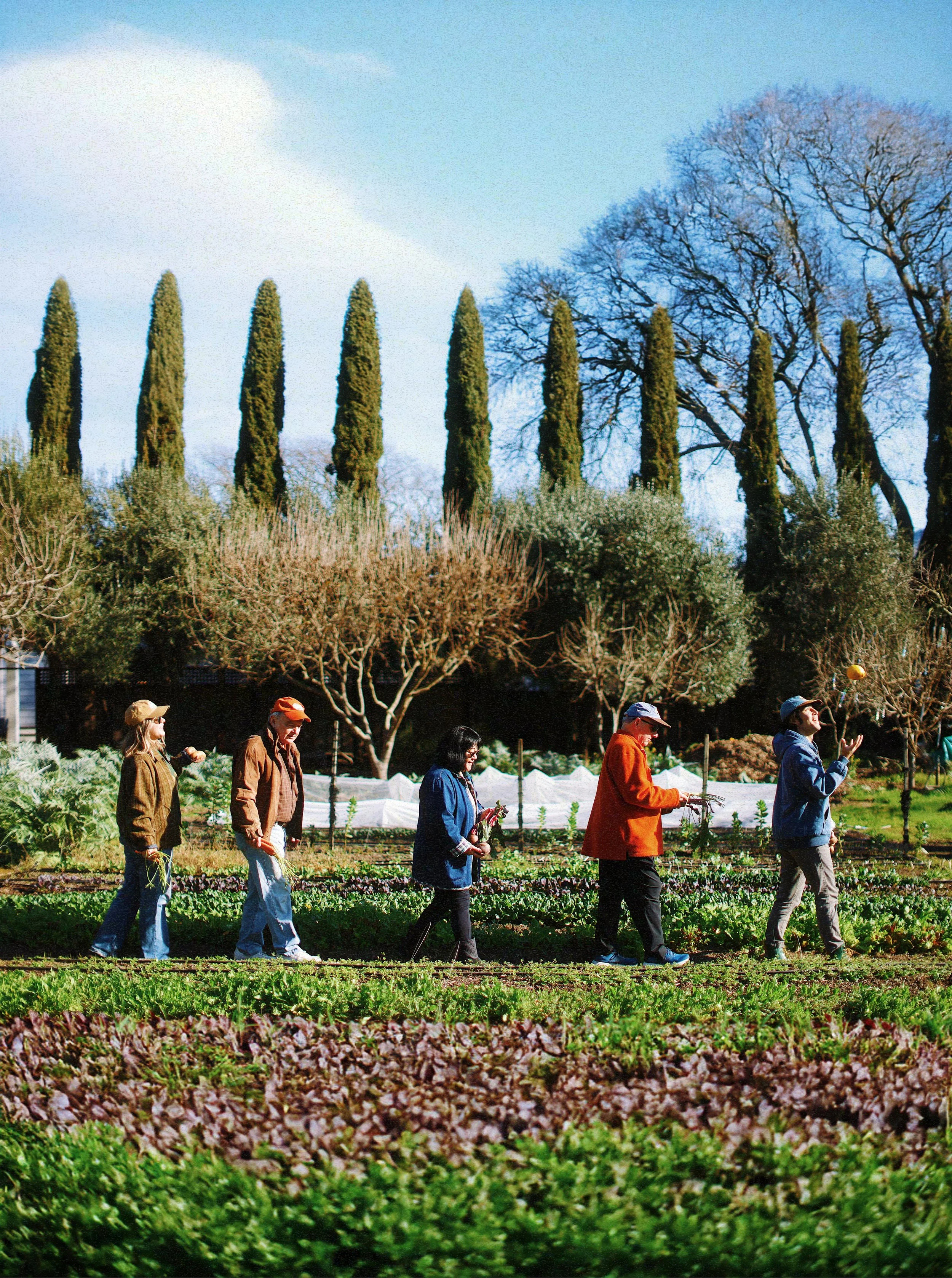 G+K Farm 011 (1).jpg