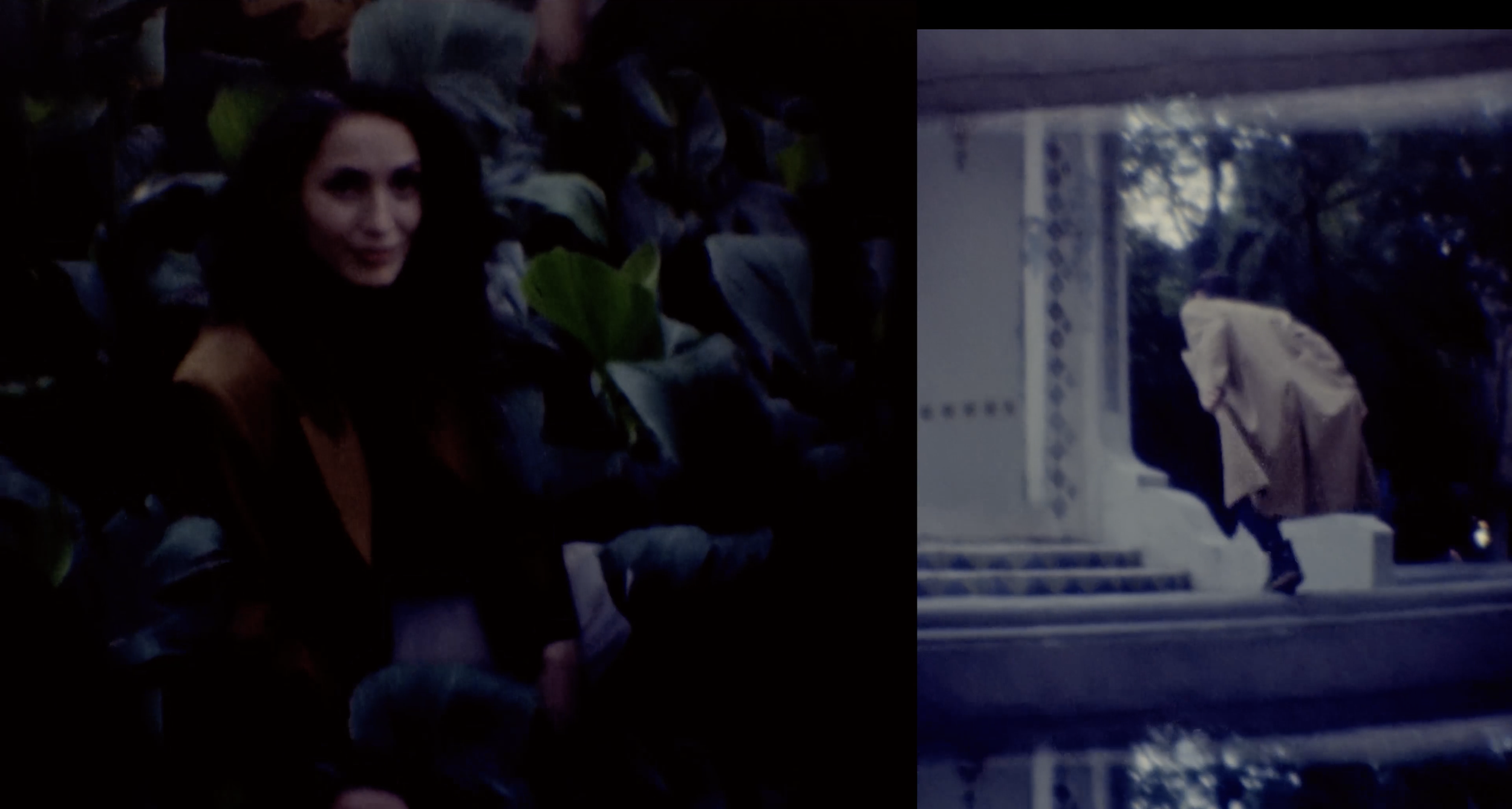 Captura de pantalla 2026-01-31 a las 23.36.19.png