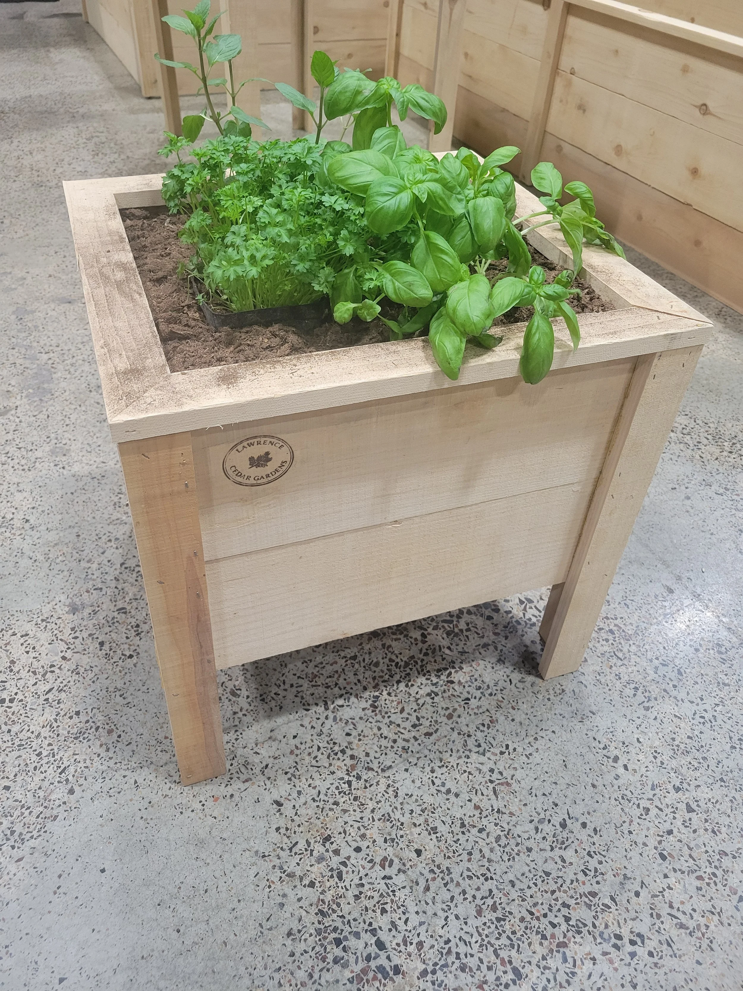 Square Cedar Planter Box (Perfect for Flowers & Small Spaces)