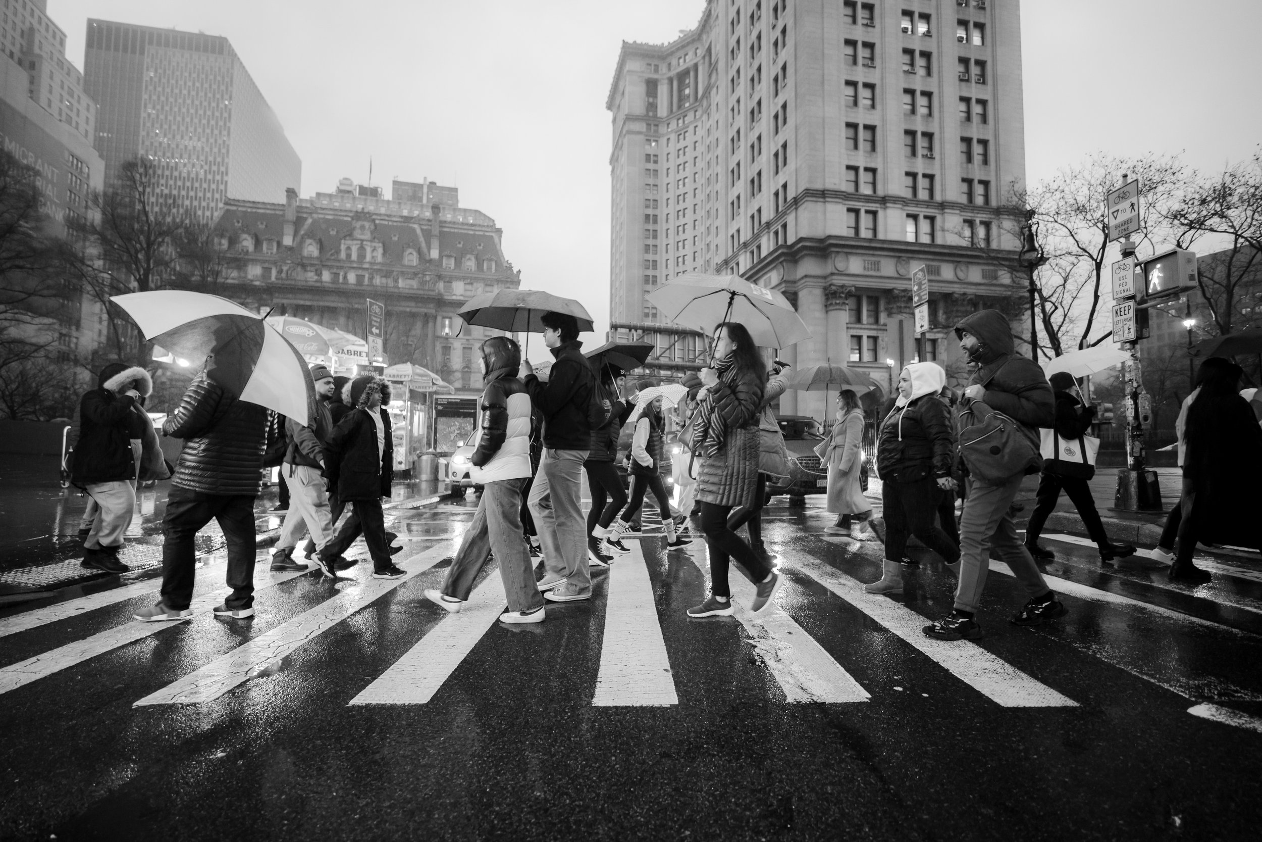 RIC_7881 - Copy-2.jpg