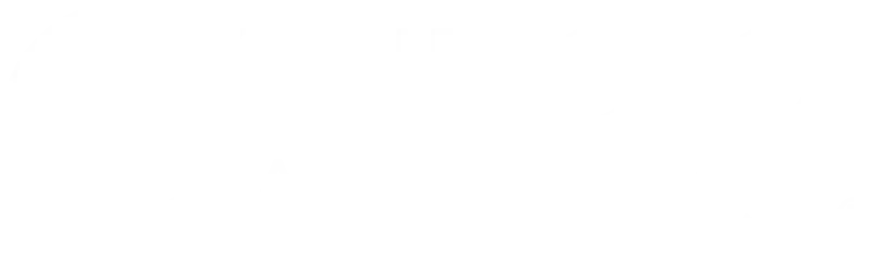 The CFO Alliance logo