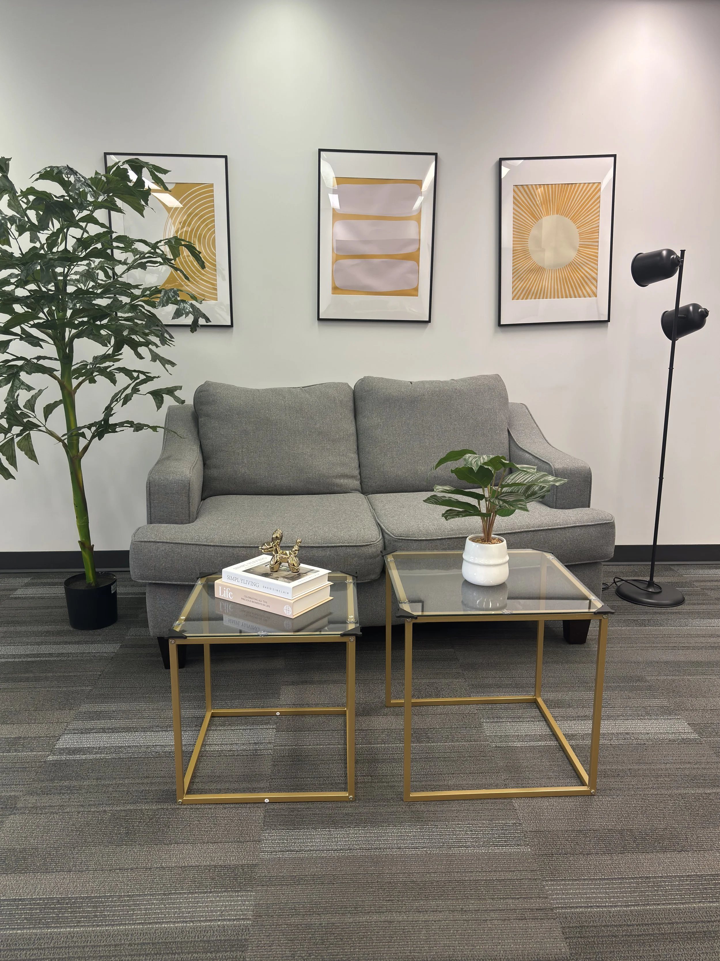 Modern living room with gray sofa, two gold metal-framed glass coffee tables, large green potted plants, framed abstract art on white wall, black floor lamp, and a gray carpeted floor.