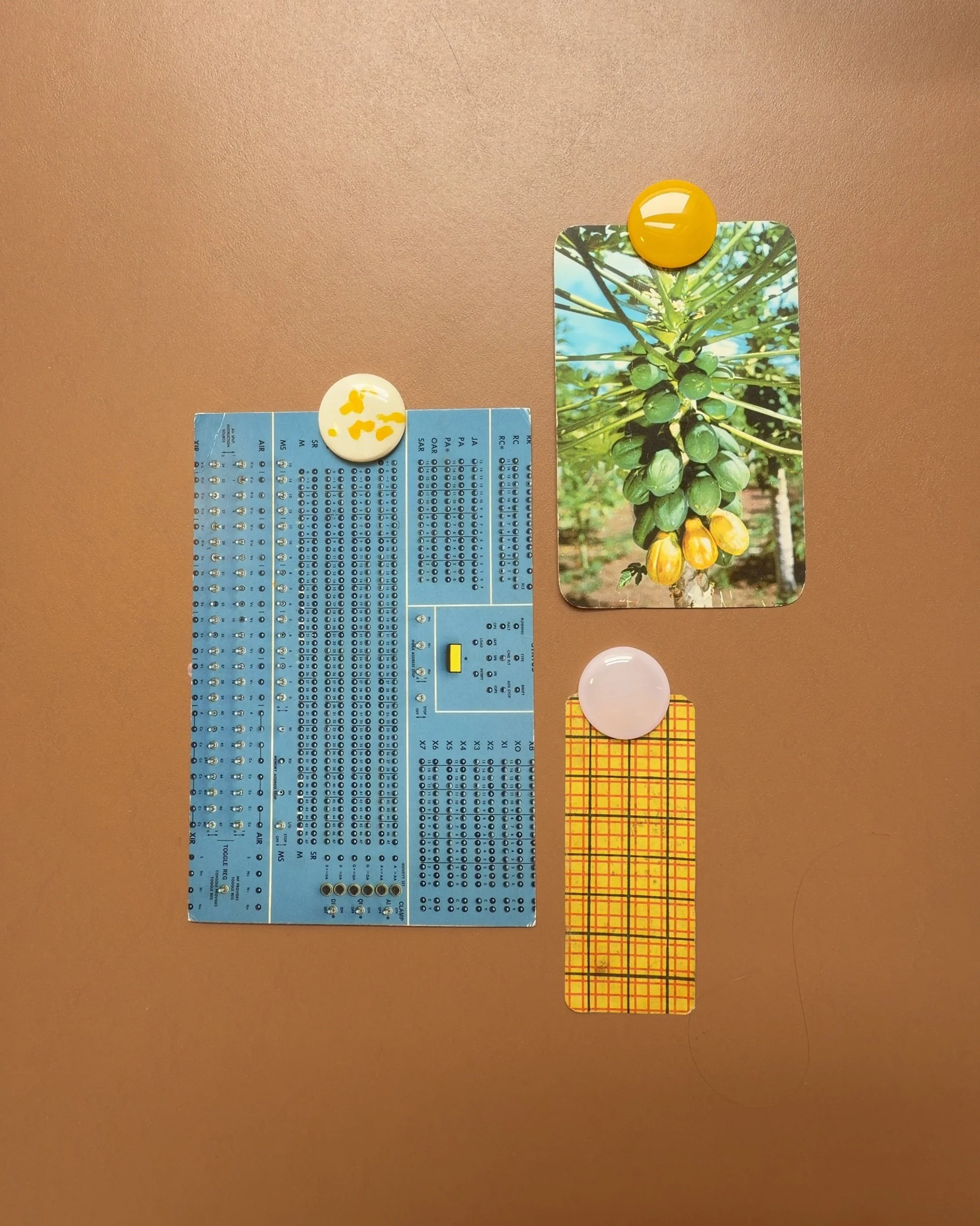 Magnet - Set of 3 in Sunflower & Petal Pink