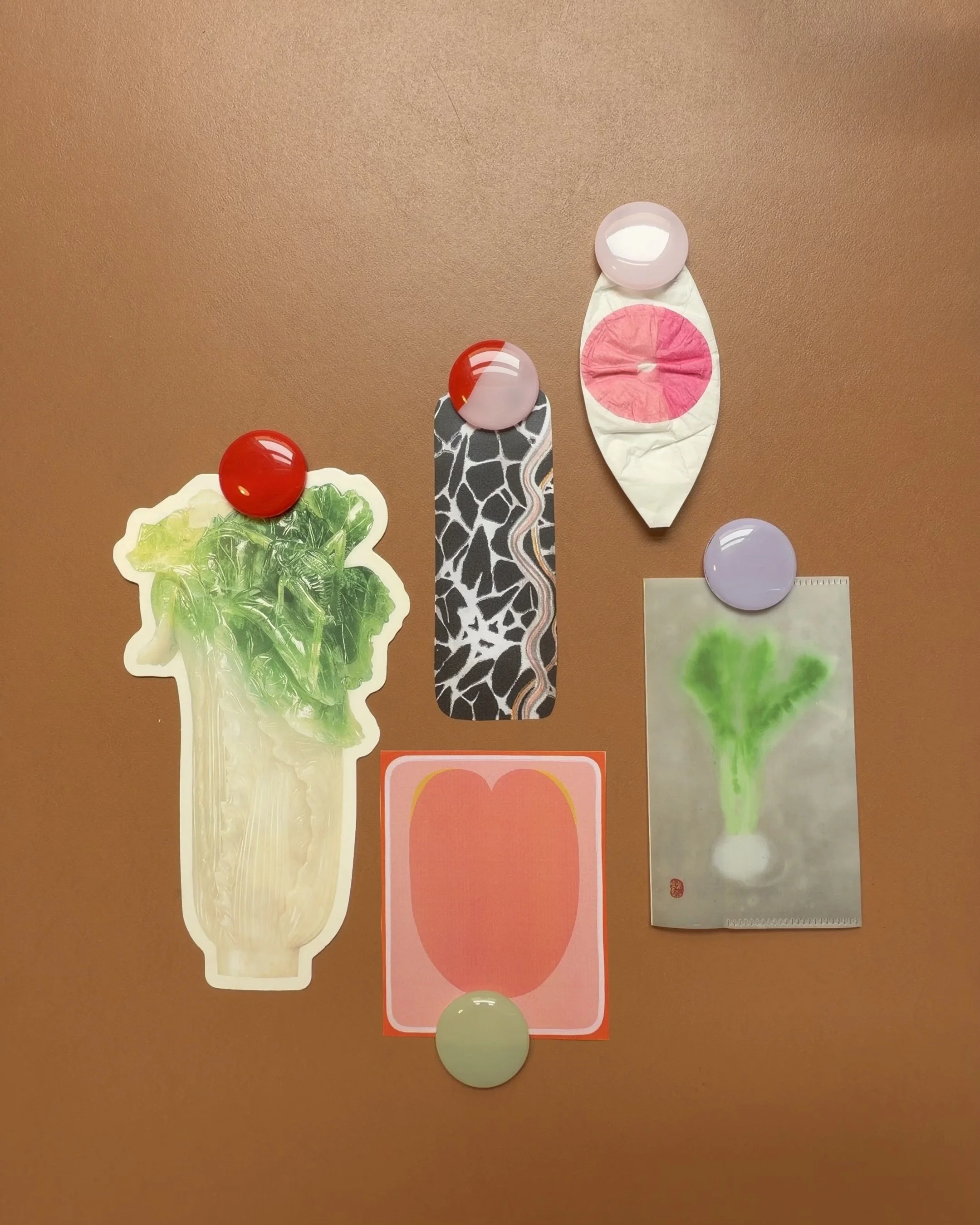 Magnet - Set of 5 in Petal Pink, Celadon & Cherry