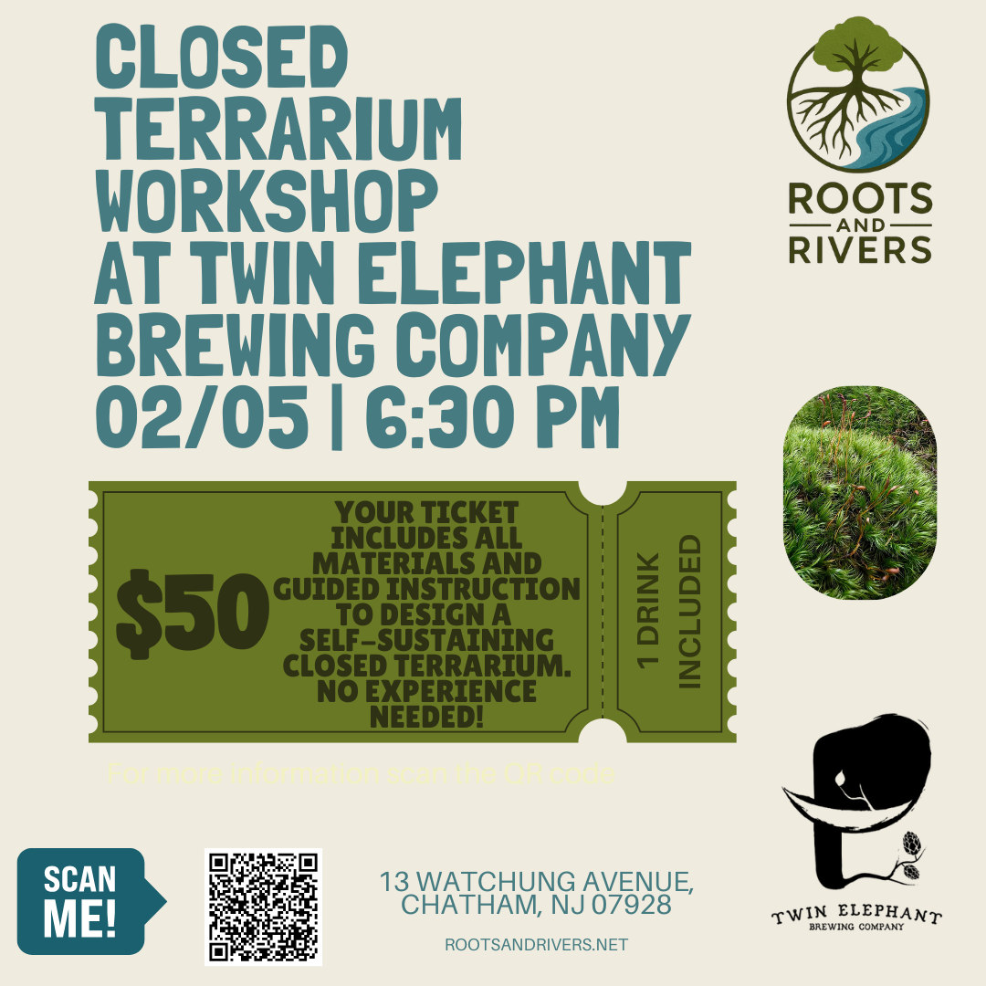 Twin Elephant Brewing