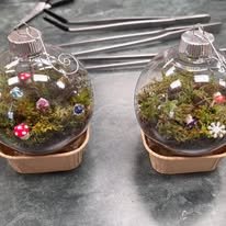 Living Ornament (We are not currently booking these)