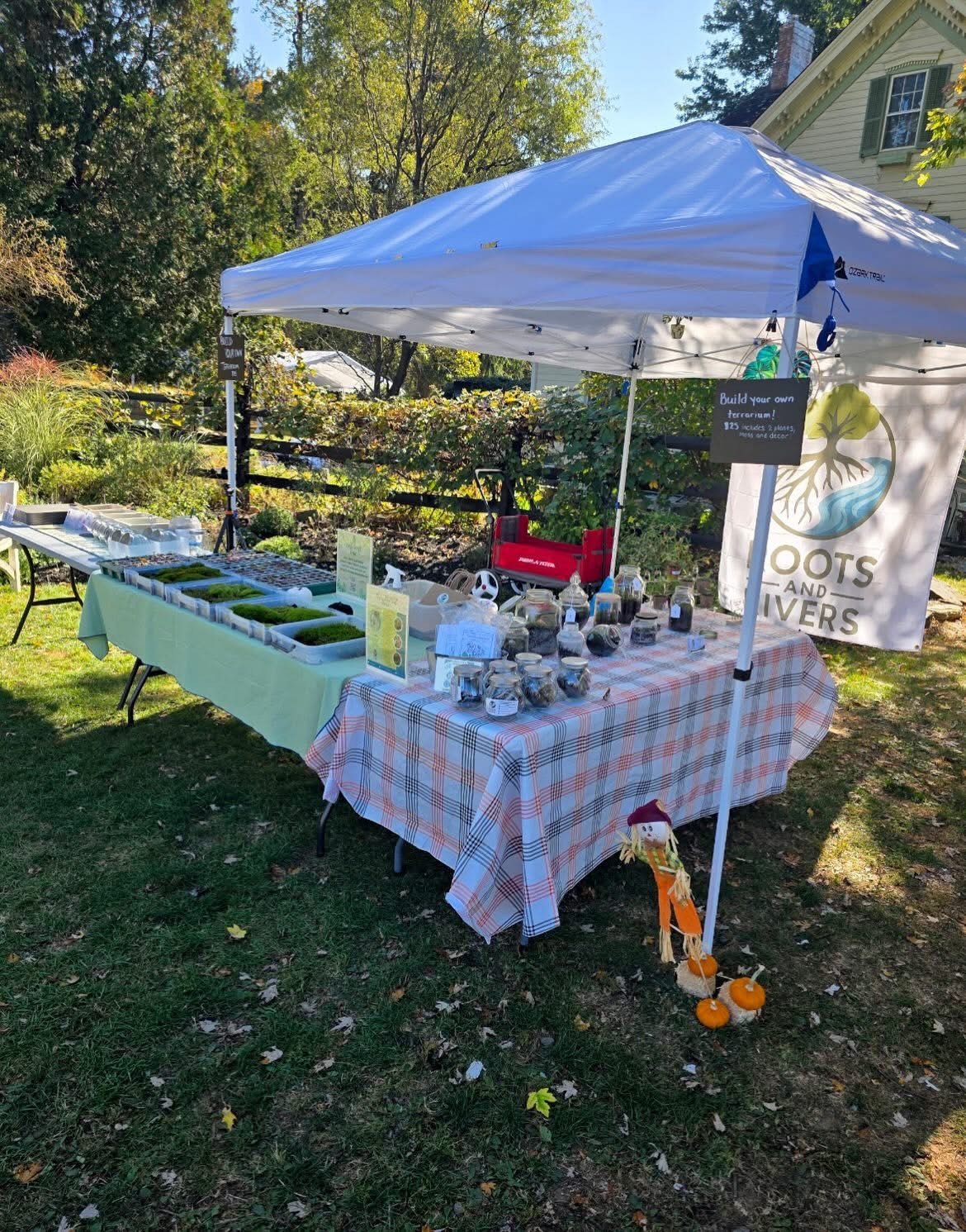 DIY Terrarium Station VS Workshop