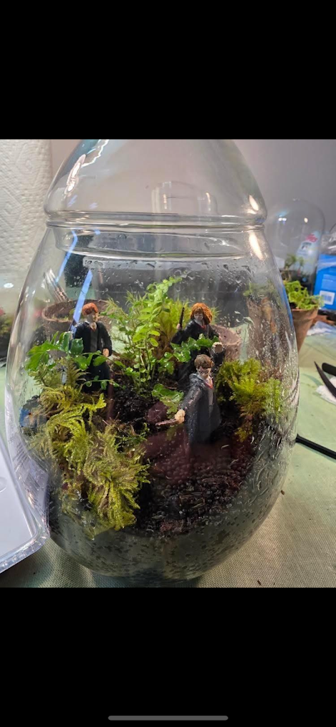 Custom Terrarium Info