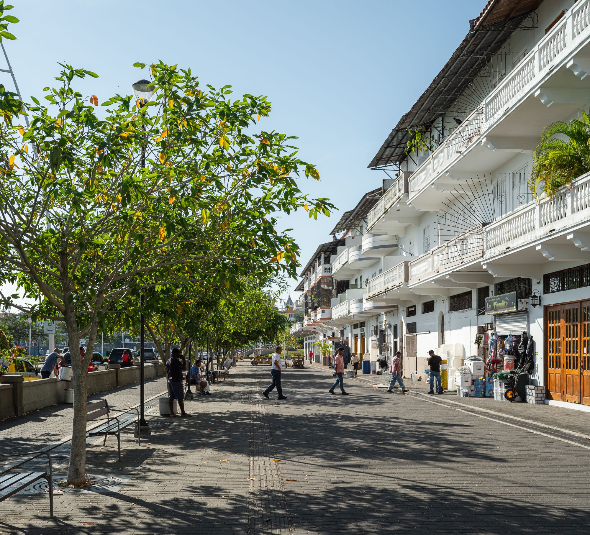 Terraplén Revitalización Urbana