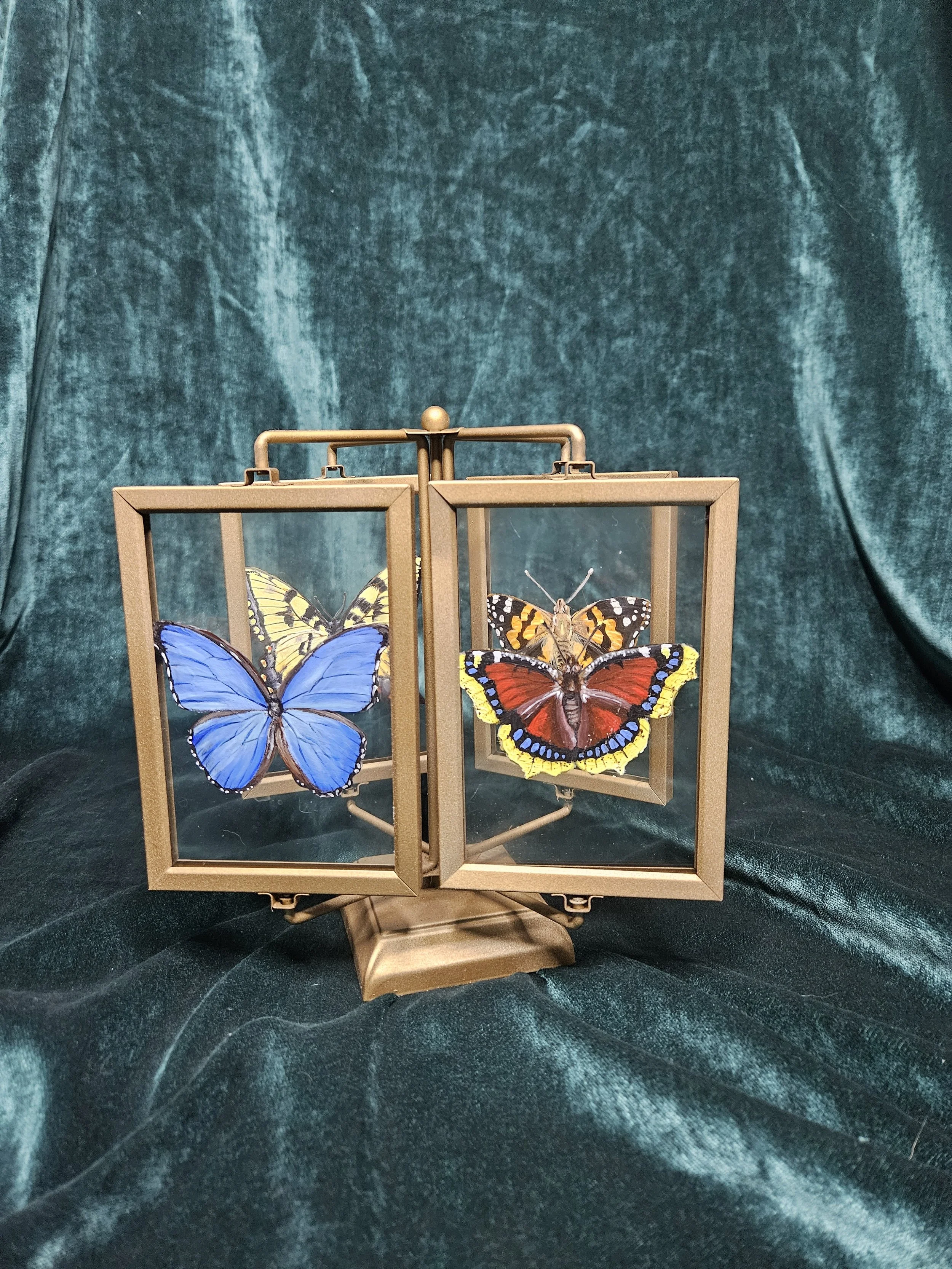 Spinning Butterfly Carousel