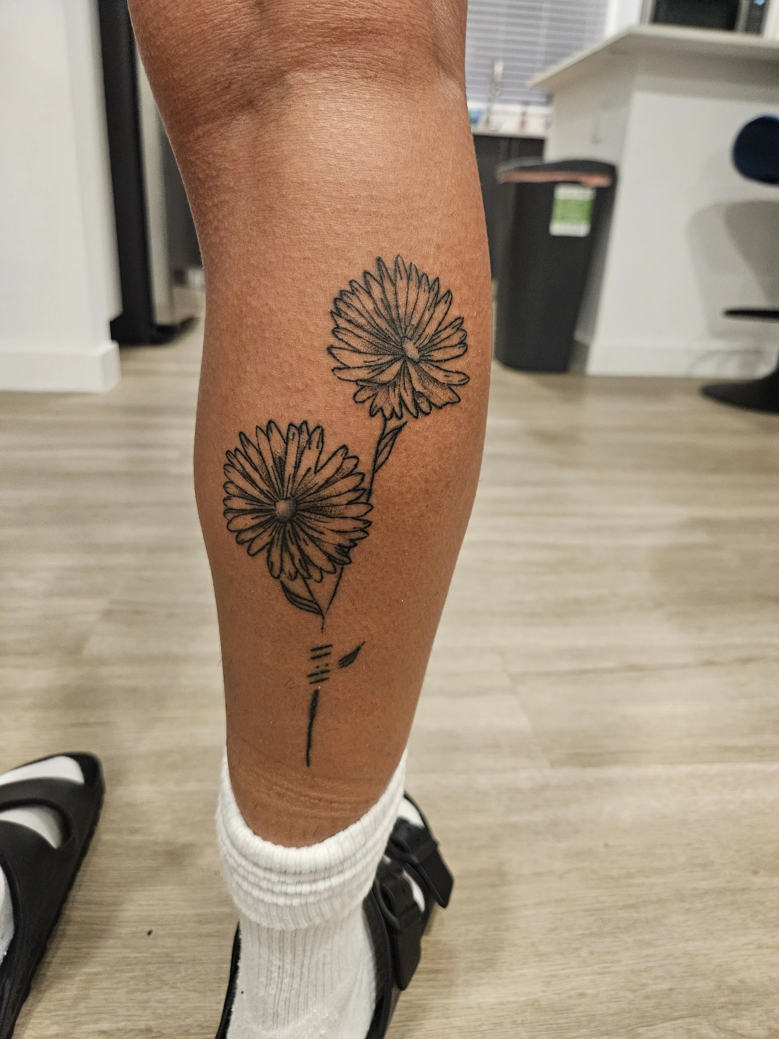 daisies