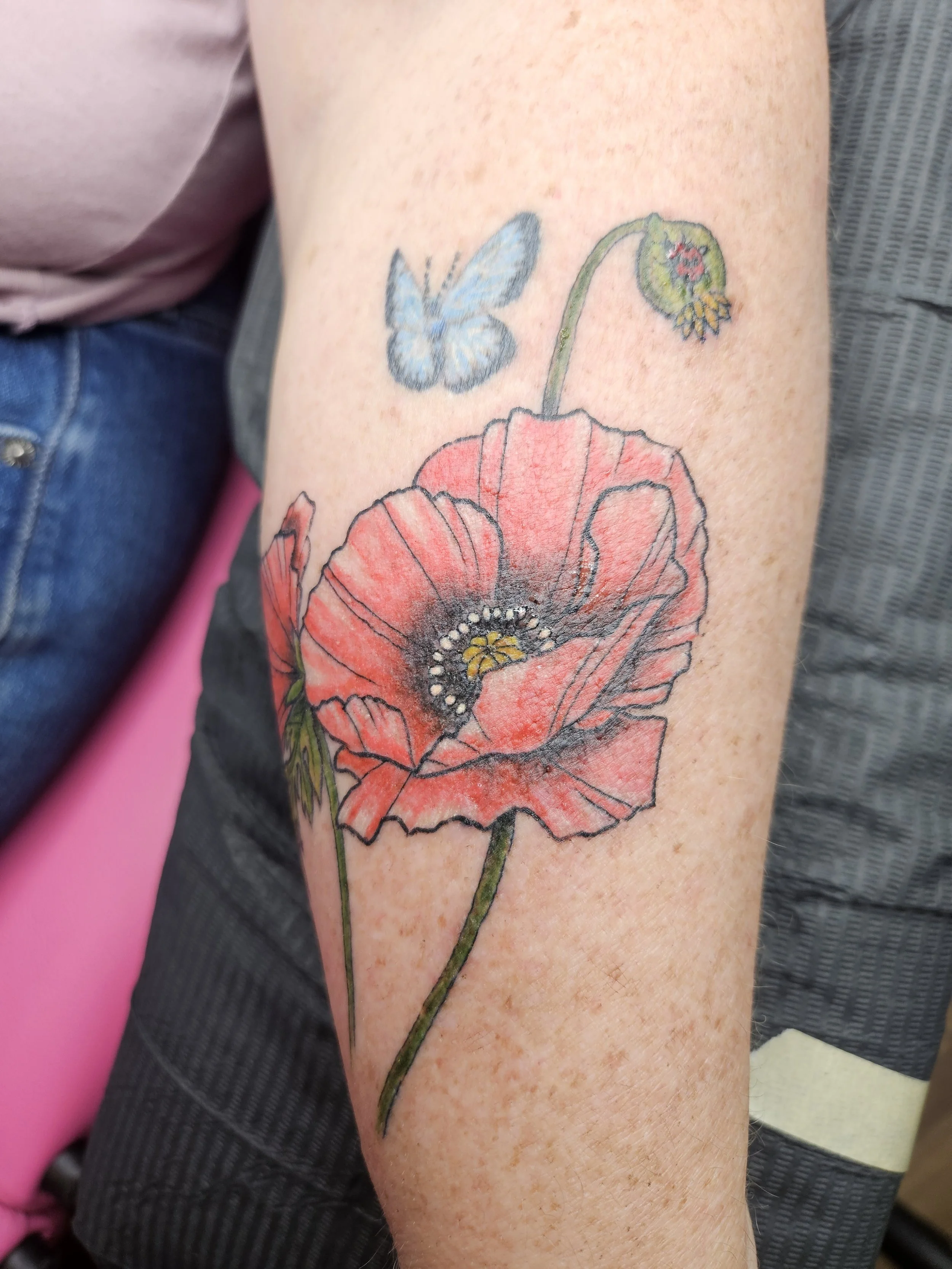 poppies and little blue butterfly