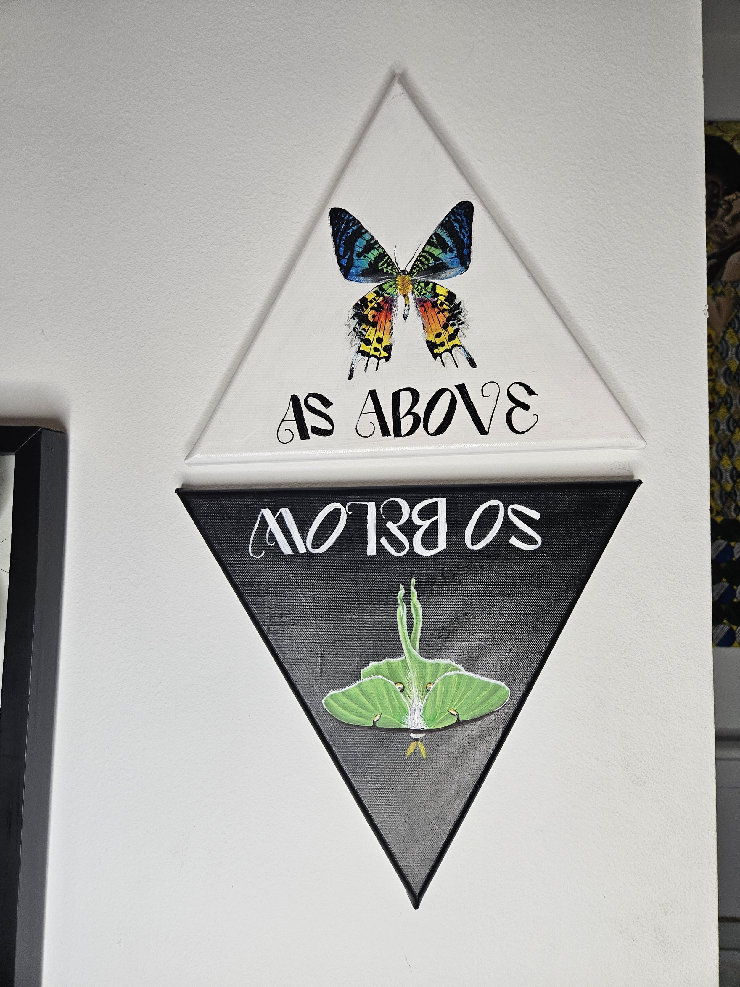 20241012_020226.jpg