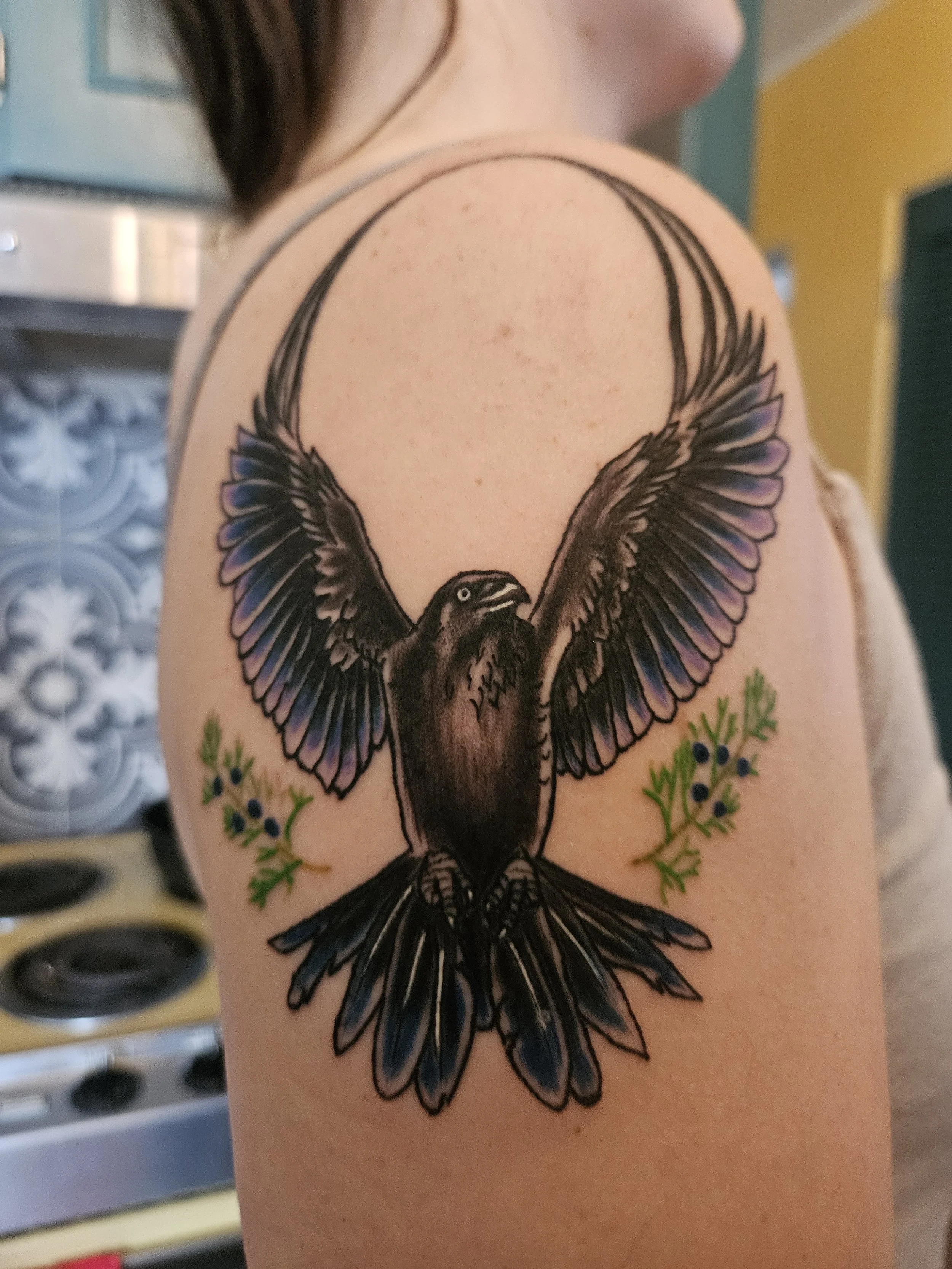 raven
