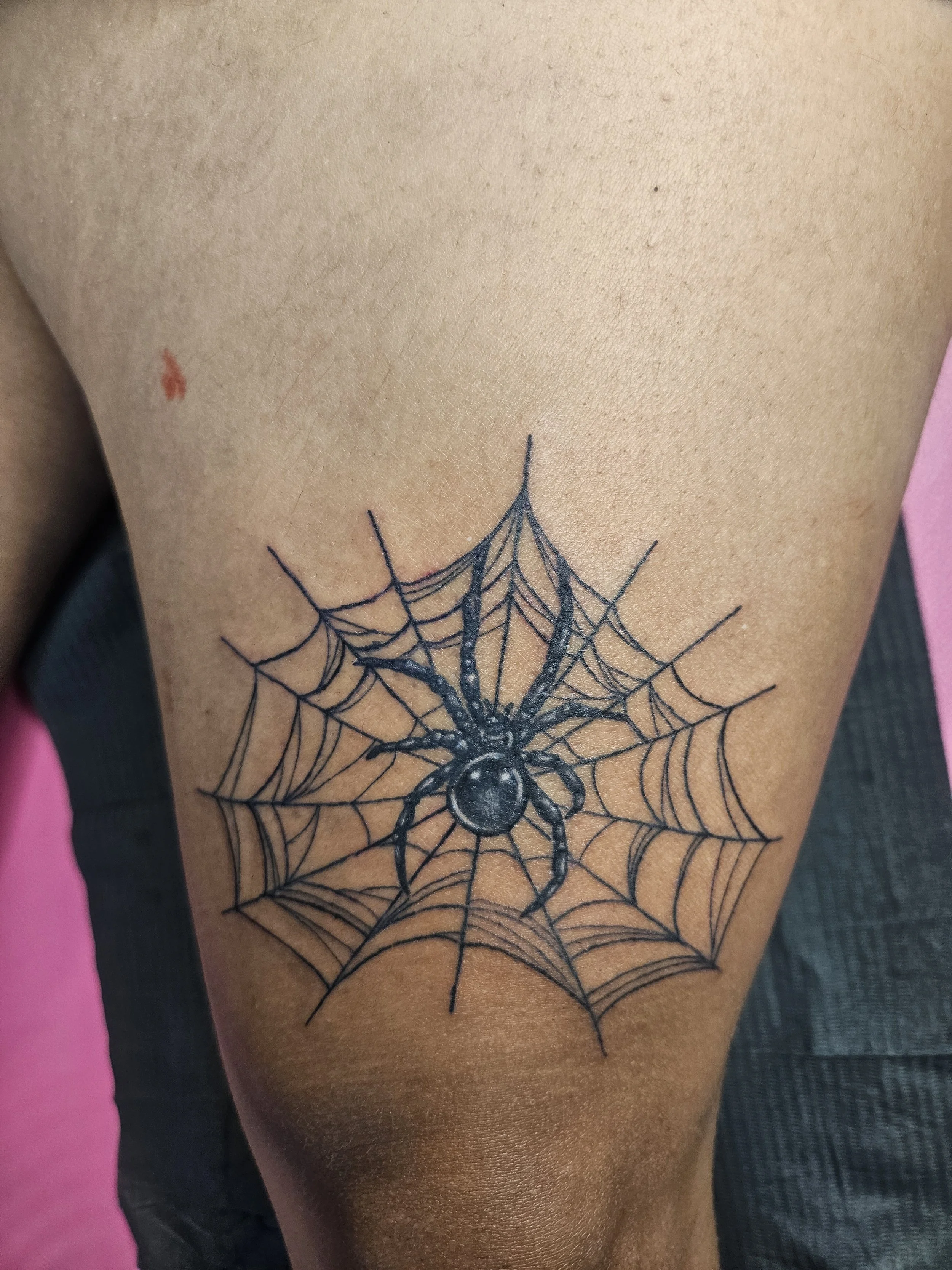caught in love's web