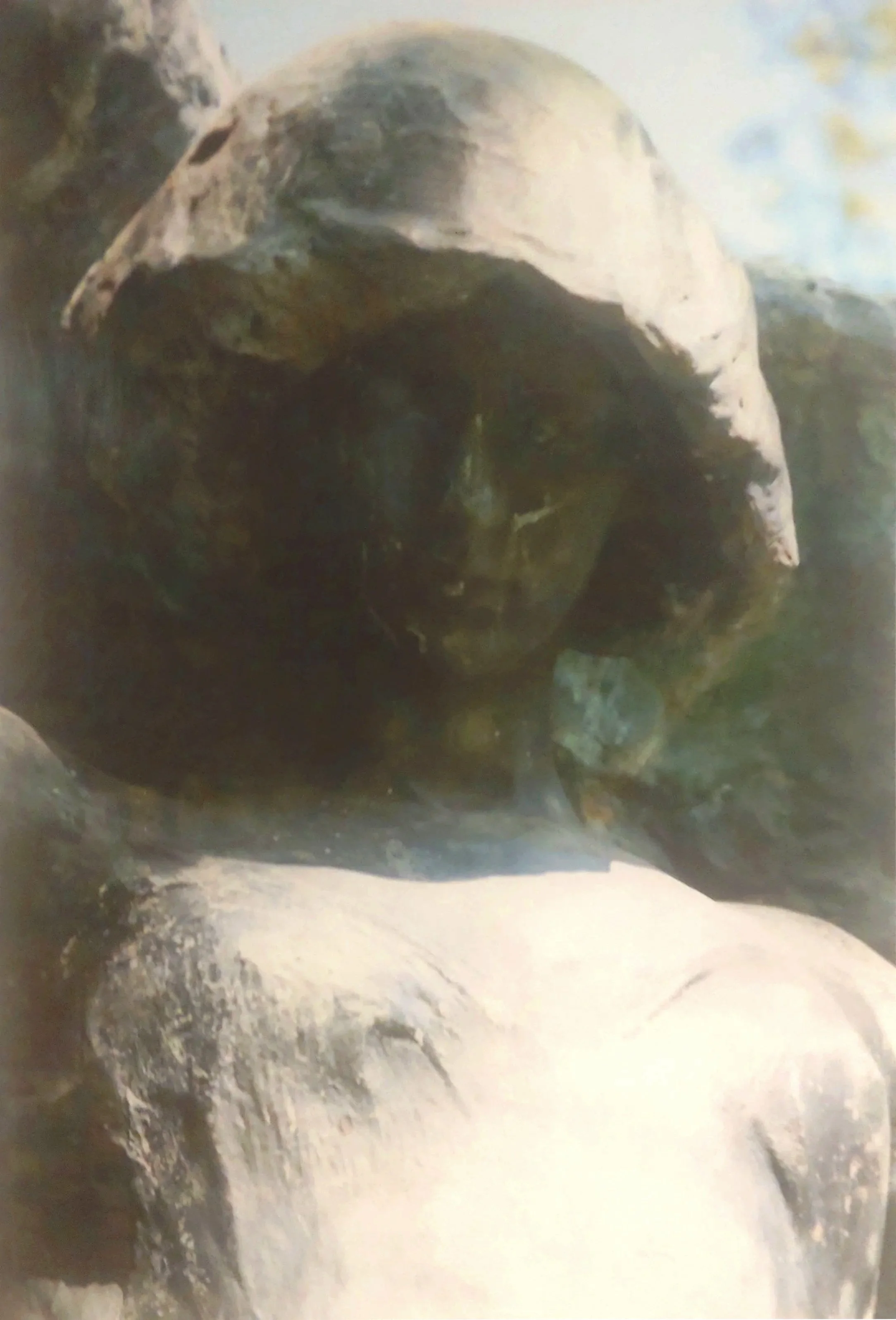 Black Angel "Head Shot": Color Photograph 26" x 17"