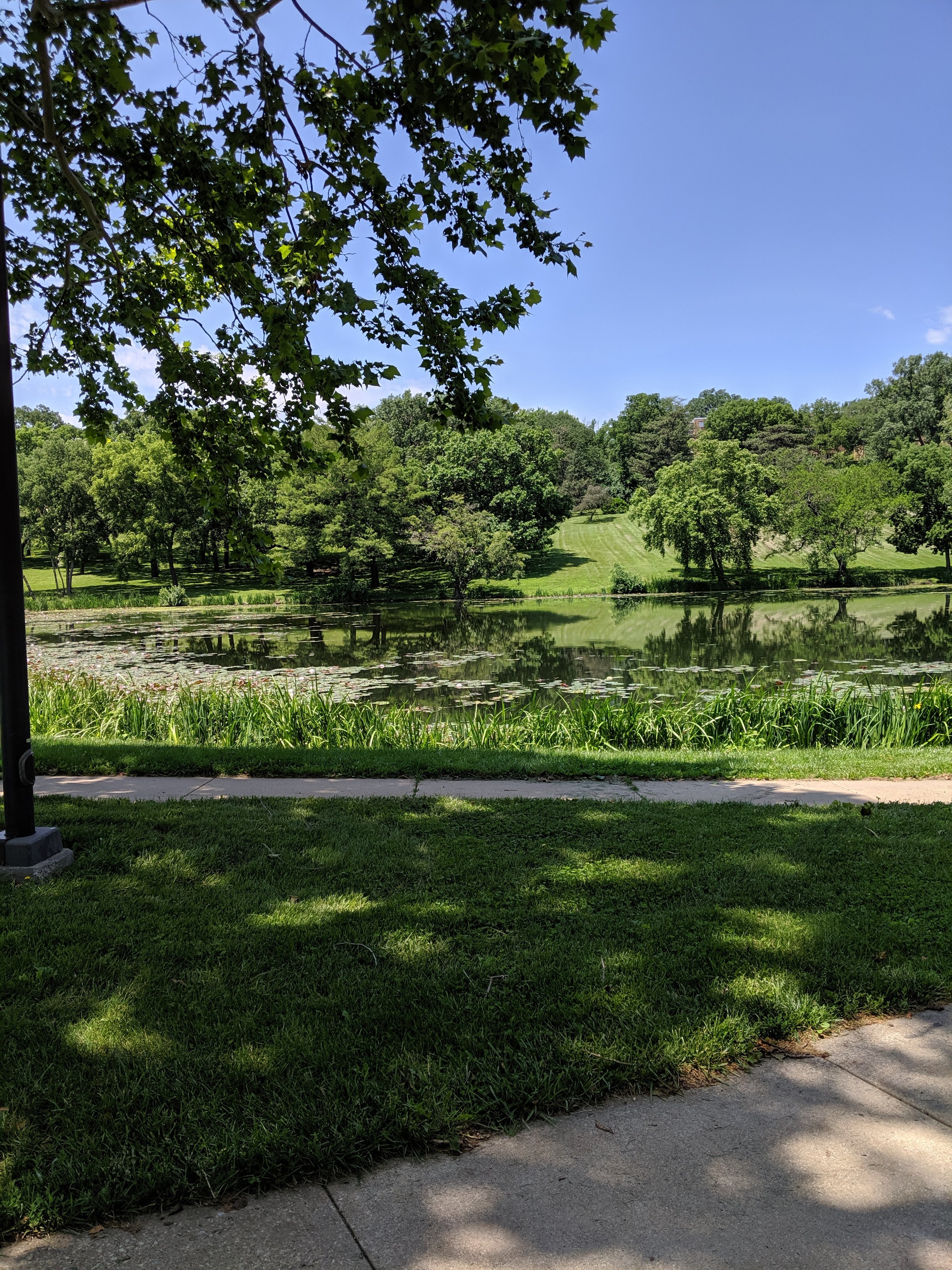 MVIMG_20190601_124652.jpg
