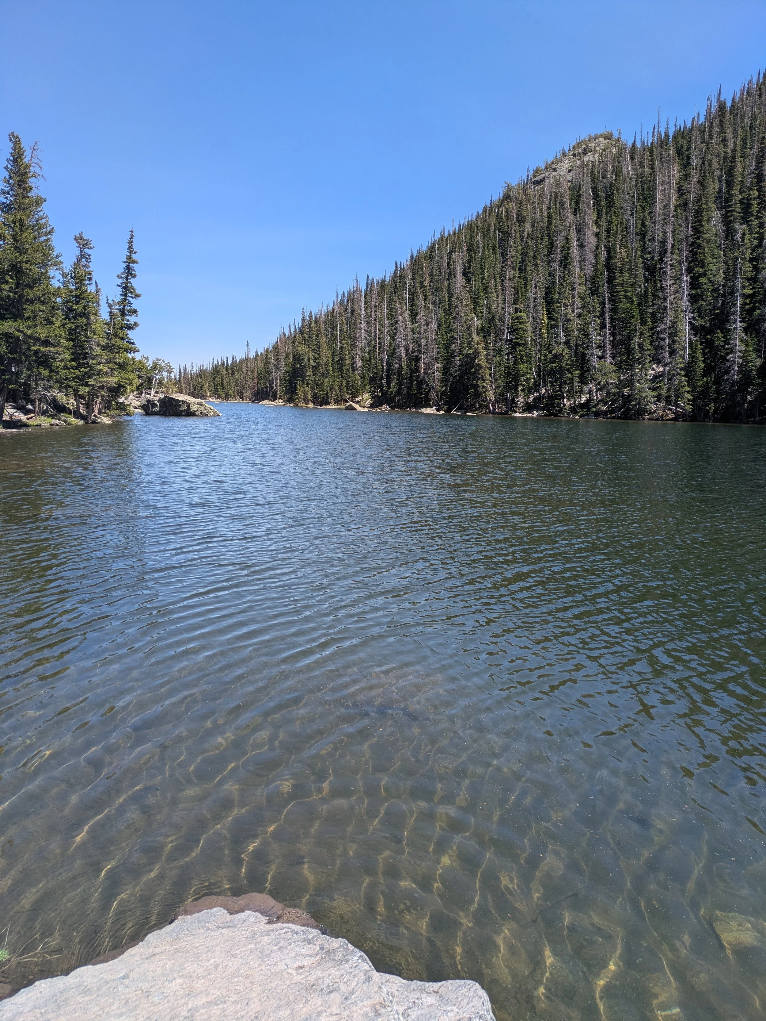 PXL_20250621_194741988.MP.jpg