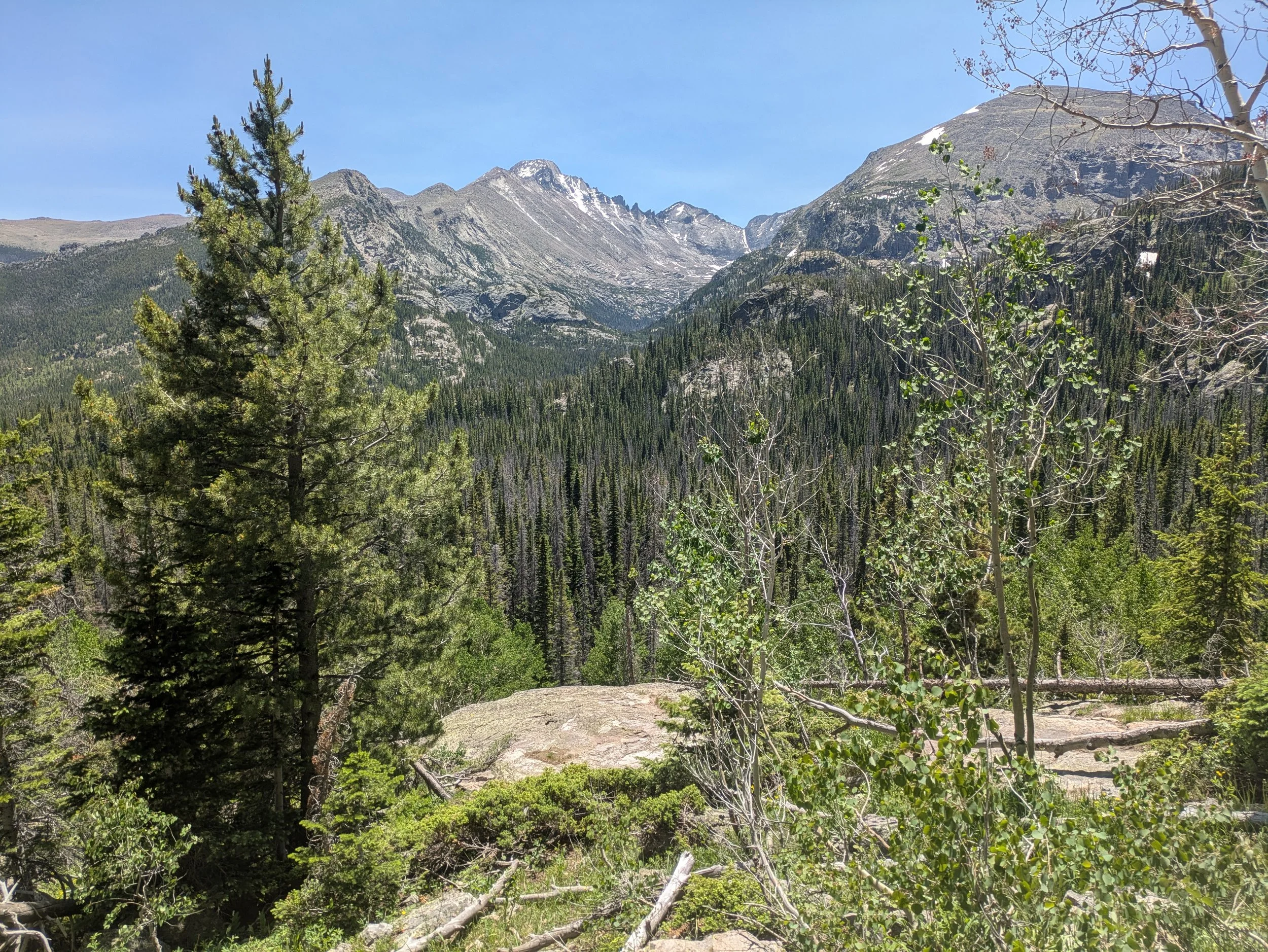 Rocky Mountain National Park: Timed Entry Reservation Guide