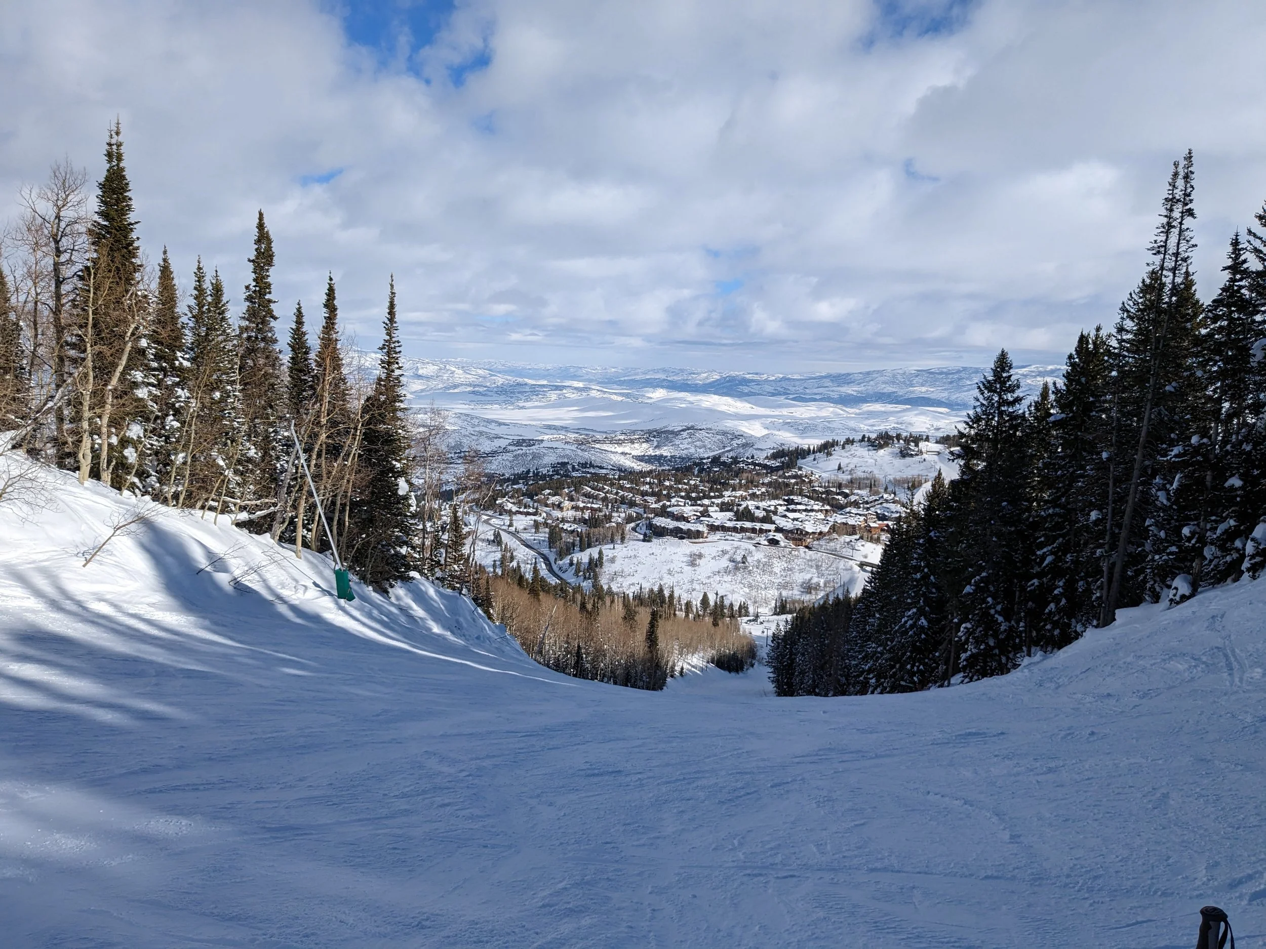 PXL_20230208_172830660.MP.jpg