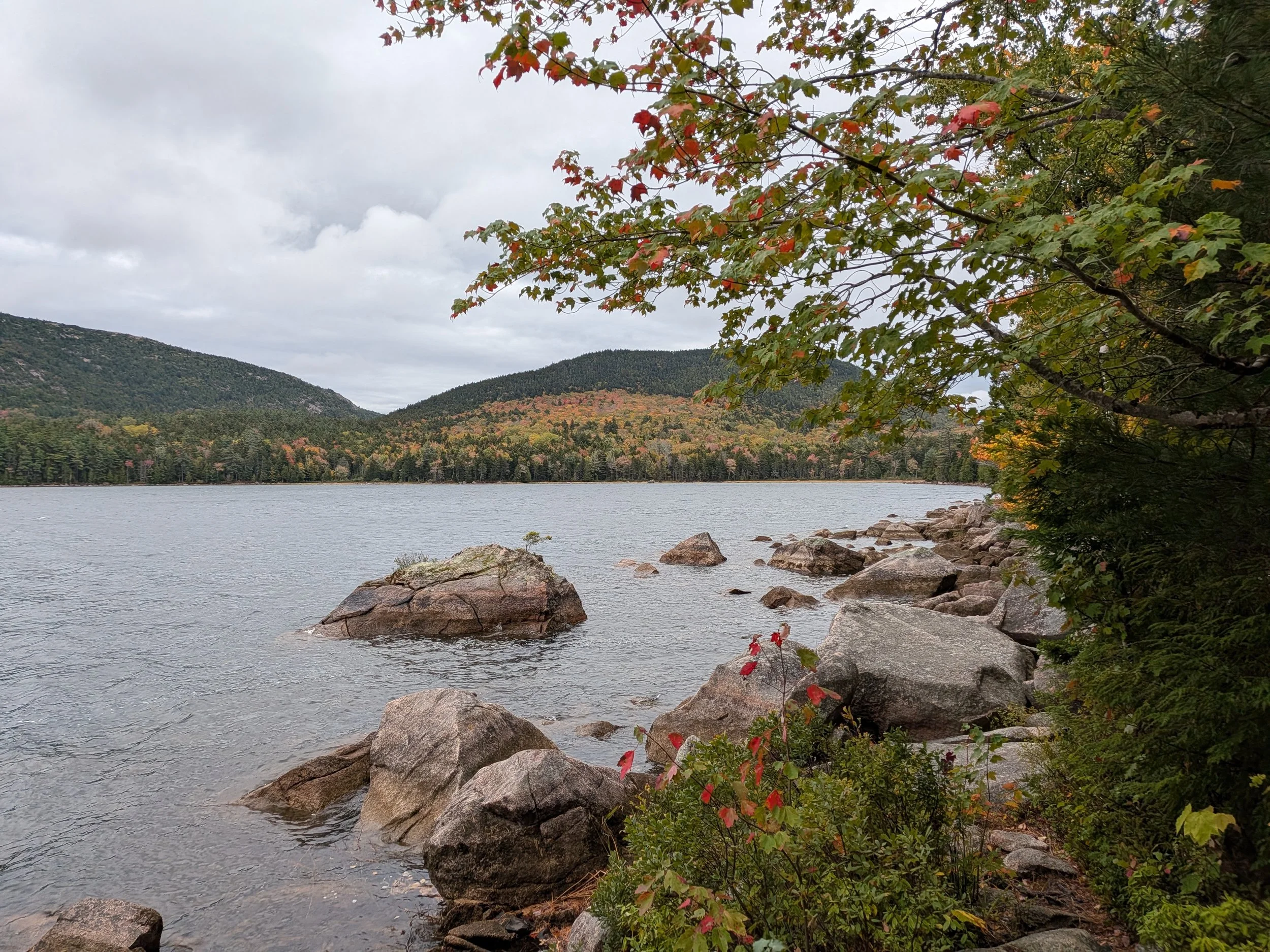 Where to Stay in Bar Harbor: Top Hotels &amp; BNBs