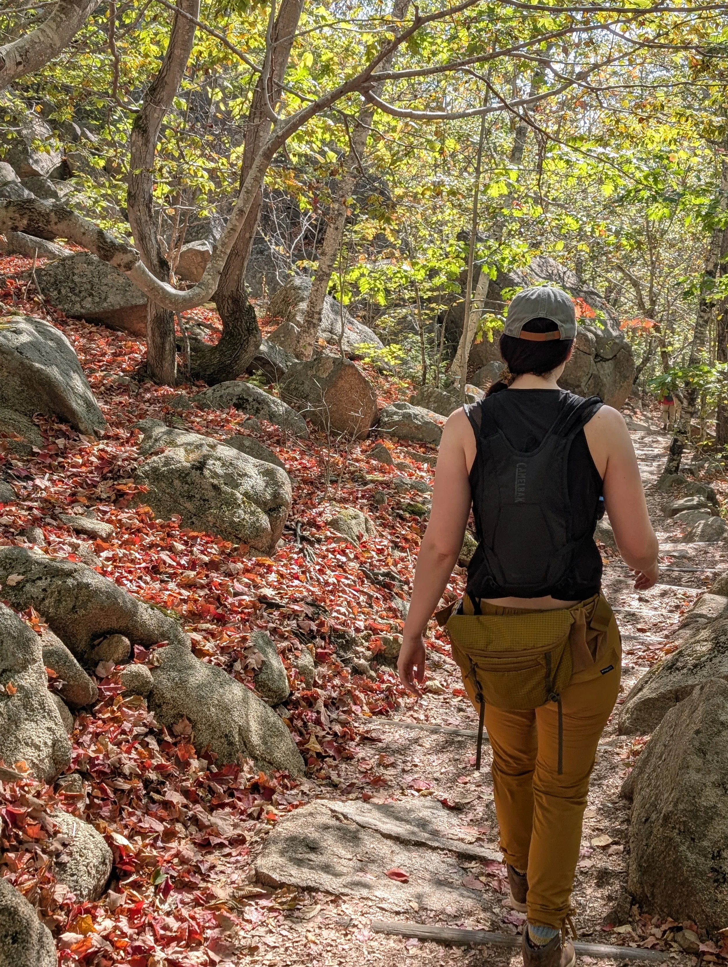 Best Hikes in Acadia National Park: Easy to Difficult