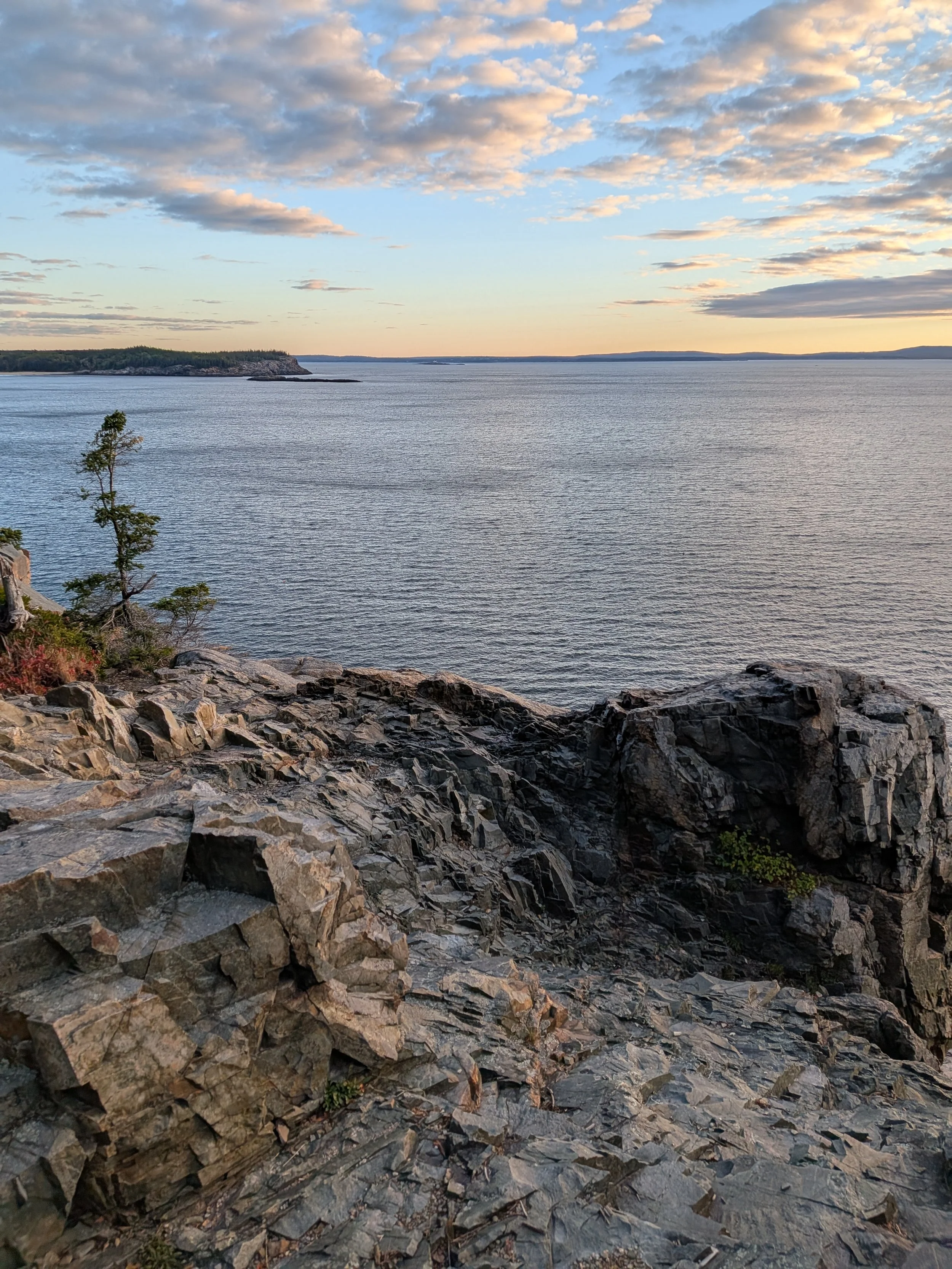 PXL_20251009_110309725 (1).jpg