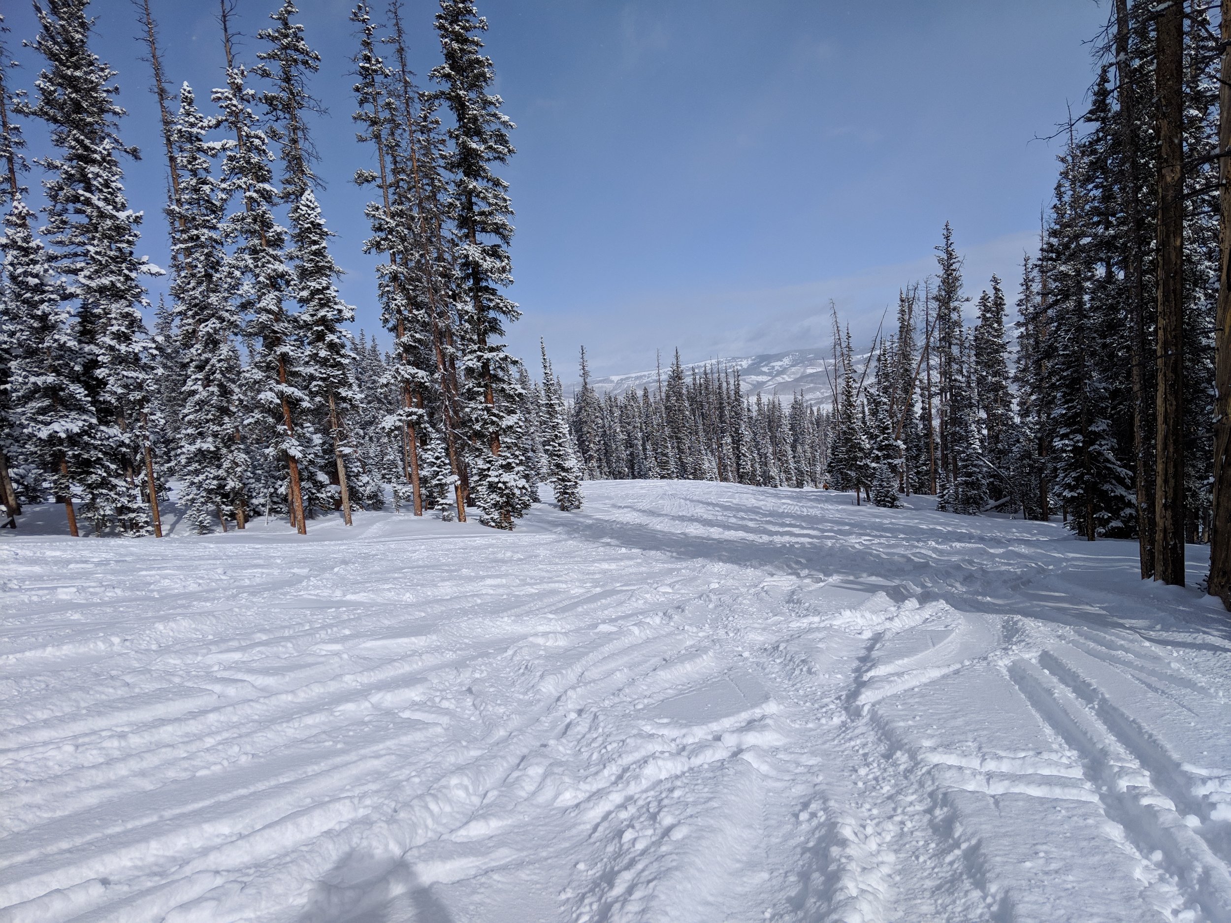 The Ultimate Beaver Creek Ski Mountain Guide