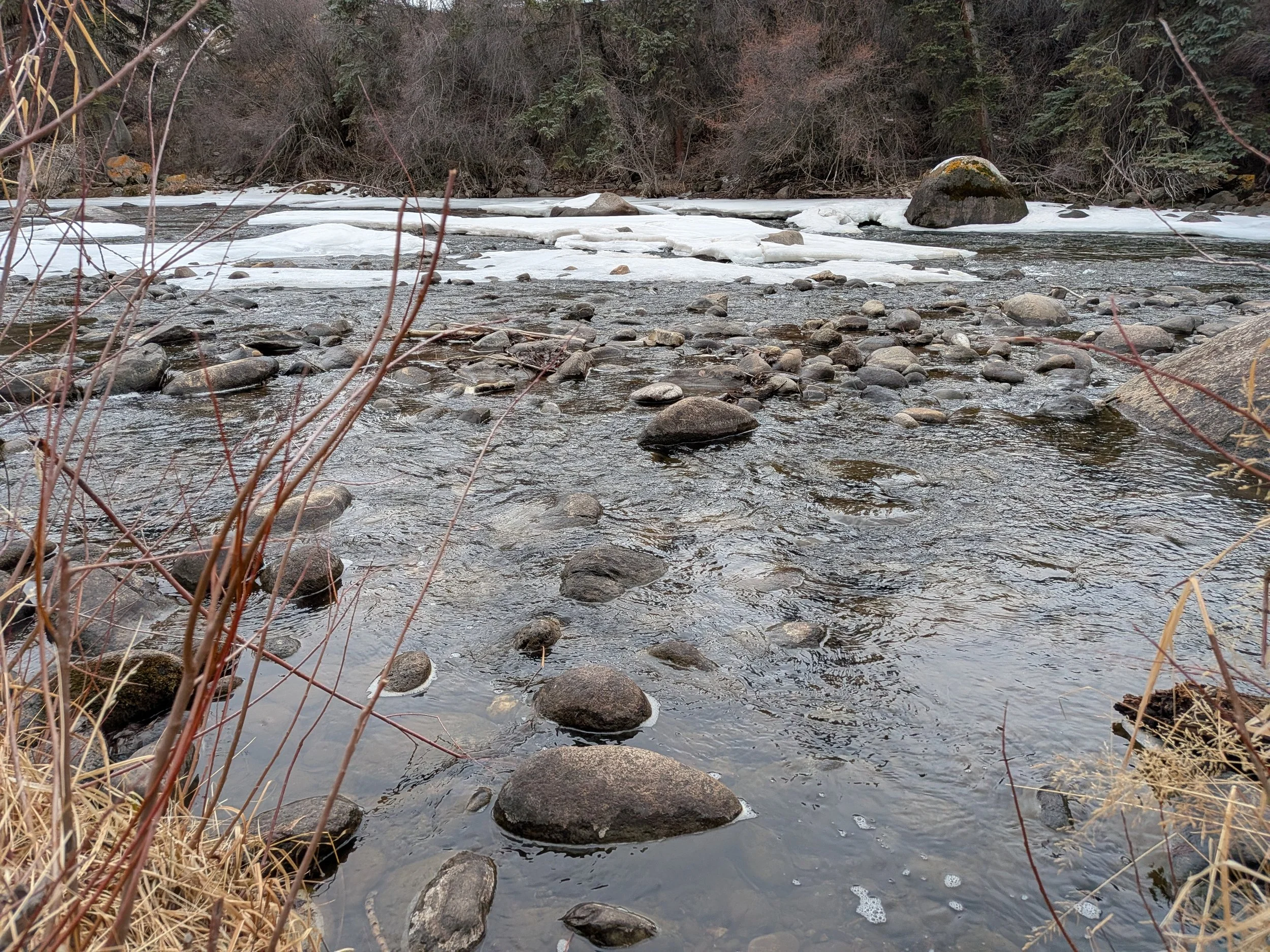 PXL_20260212_234846007.MP (1).jpg