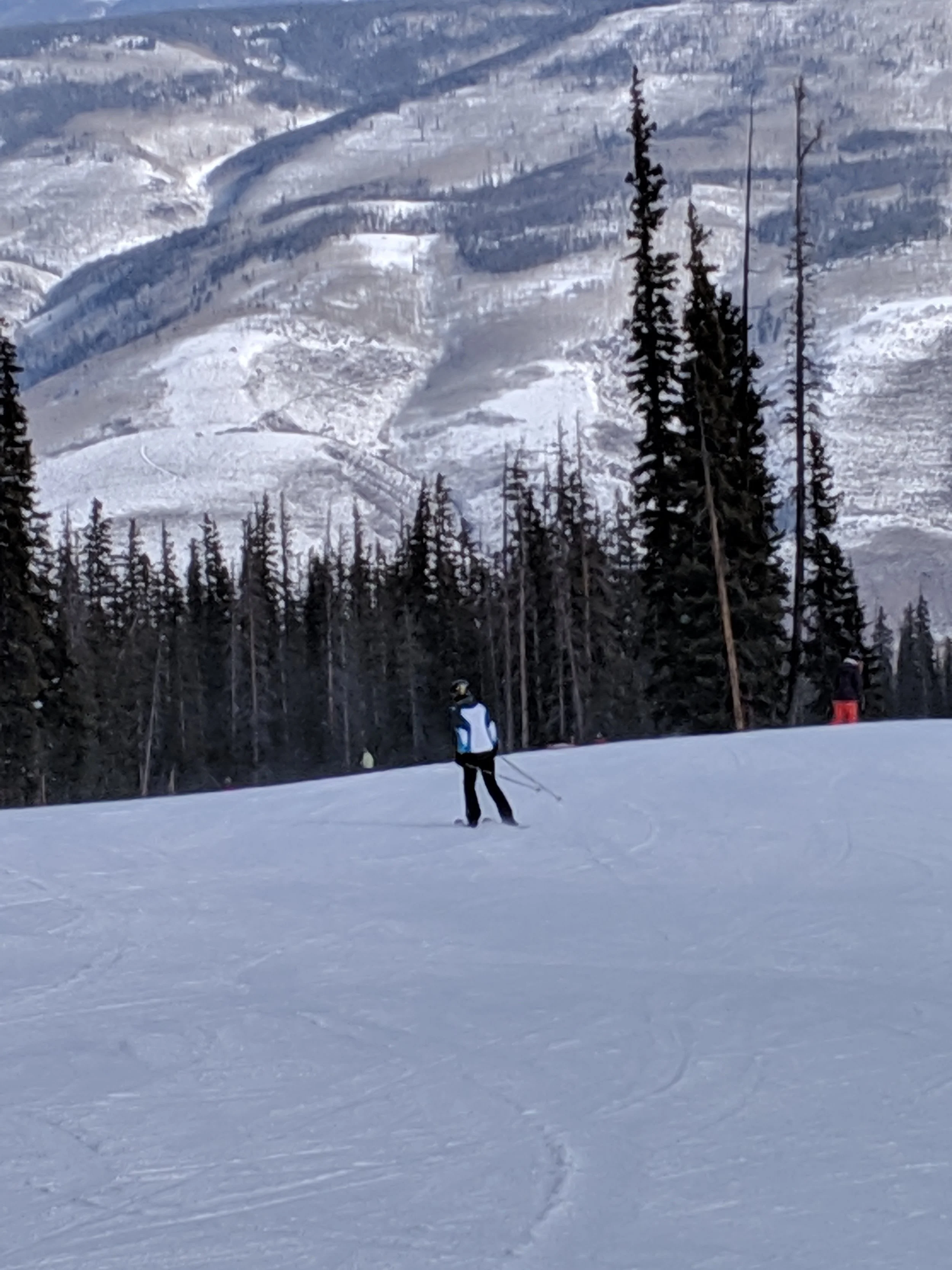 IMG_20190203_100238.jpg