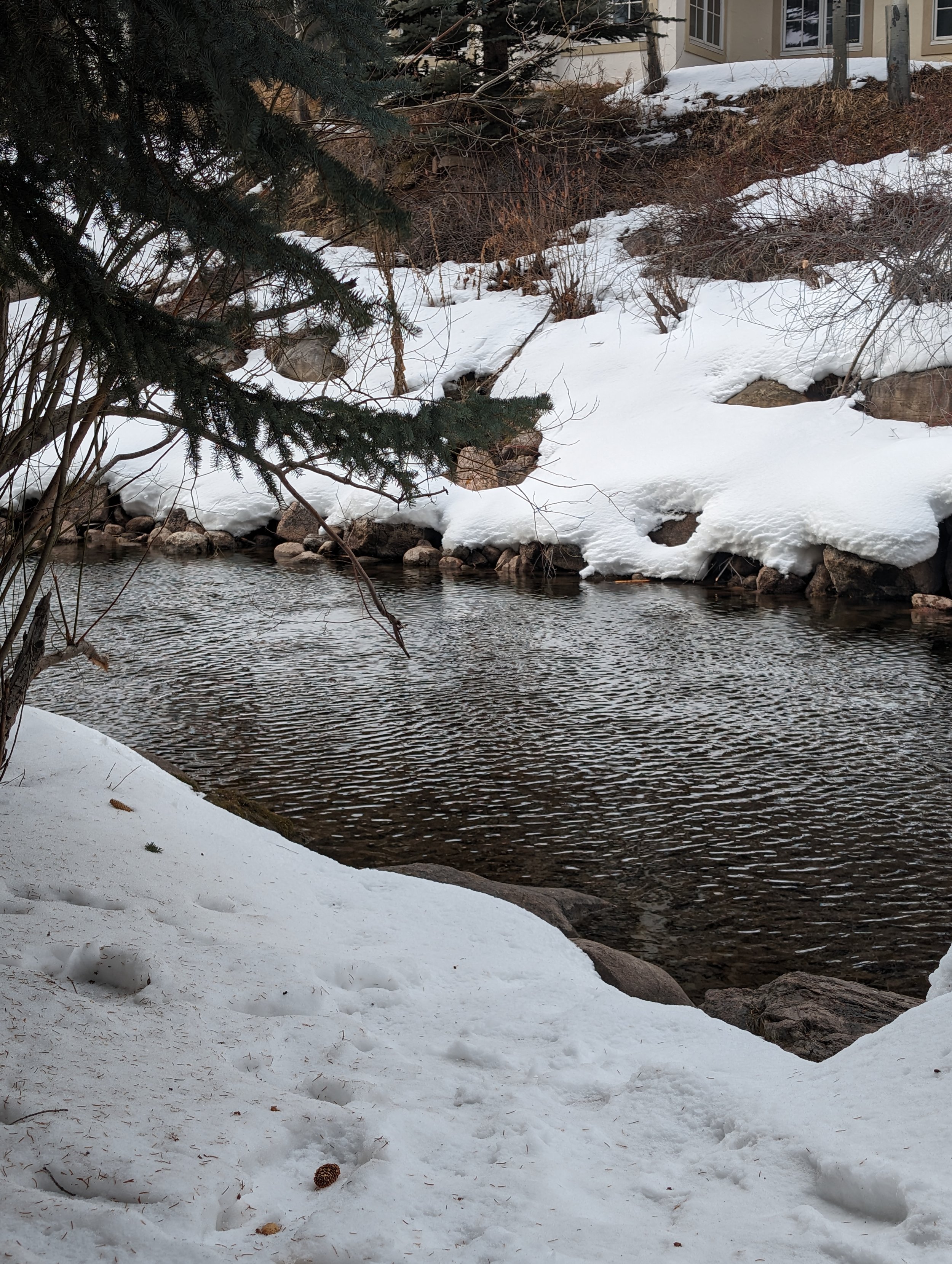 PXL_20240207_231053810.RAW-01.COVER.jpg