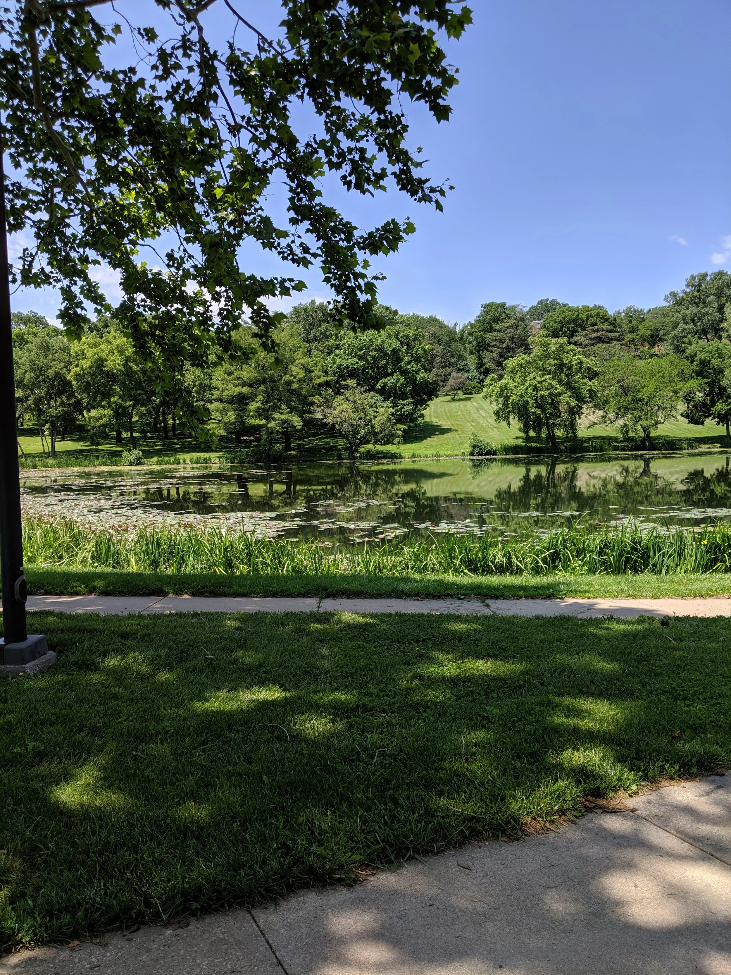 A peaceful park scene with a pond, lush green trees, and a grassy slope, with a sidewalk and shaded area in the foreground and bright blue sky above.