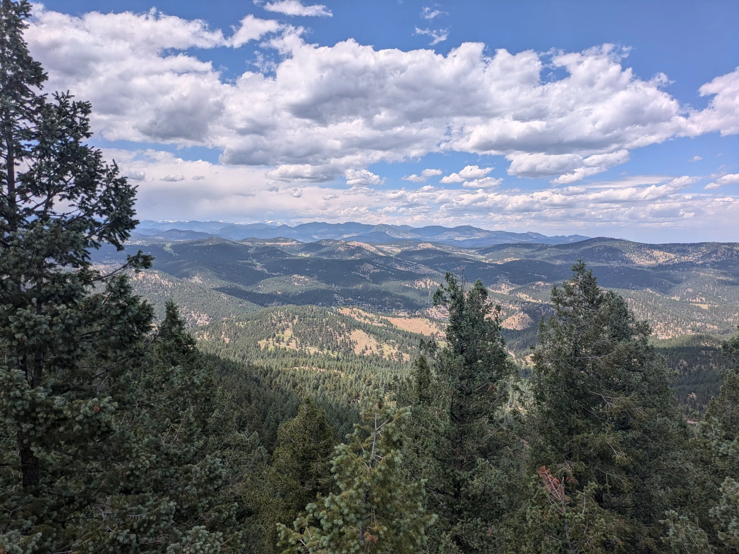 Three trees in the foreground with a backdrop of blue and green mountains under a blue sky with many clouds.