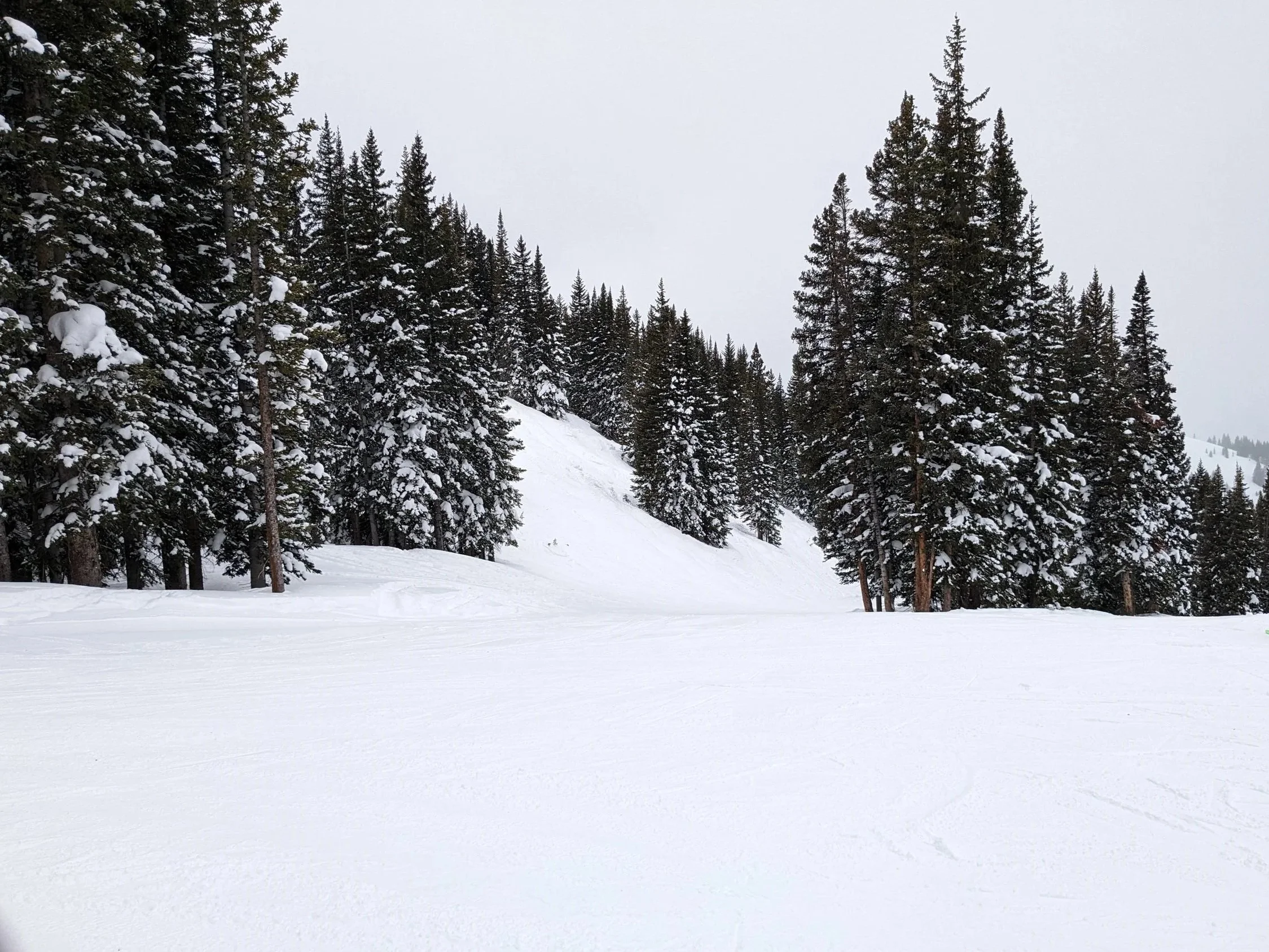 Vail Ski Resort ski run covered in snow with snow covered trees under a cloudy sky.