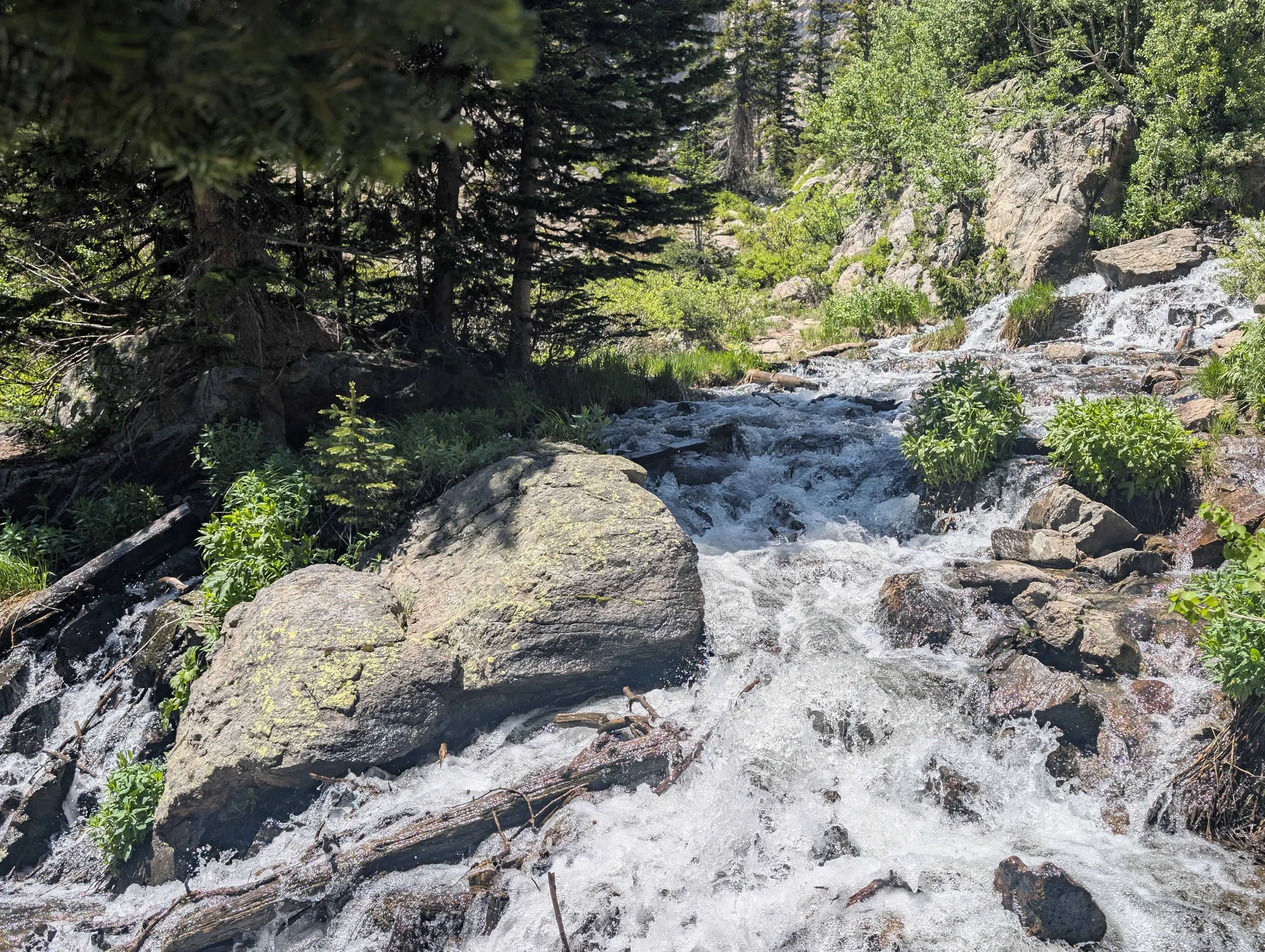Rushing stream within Rocky Mountain National Park