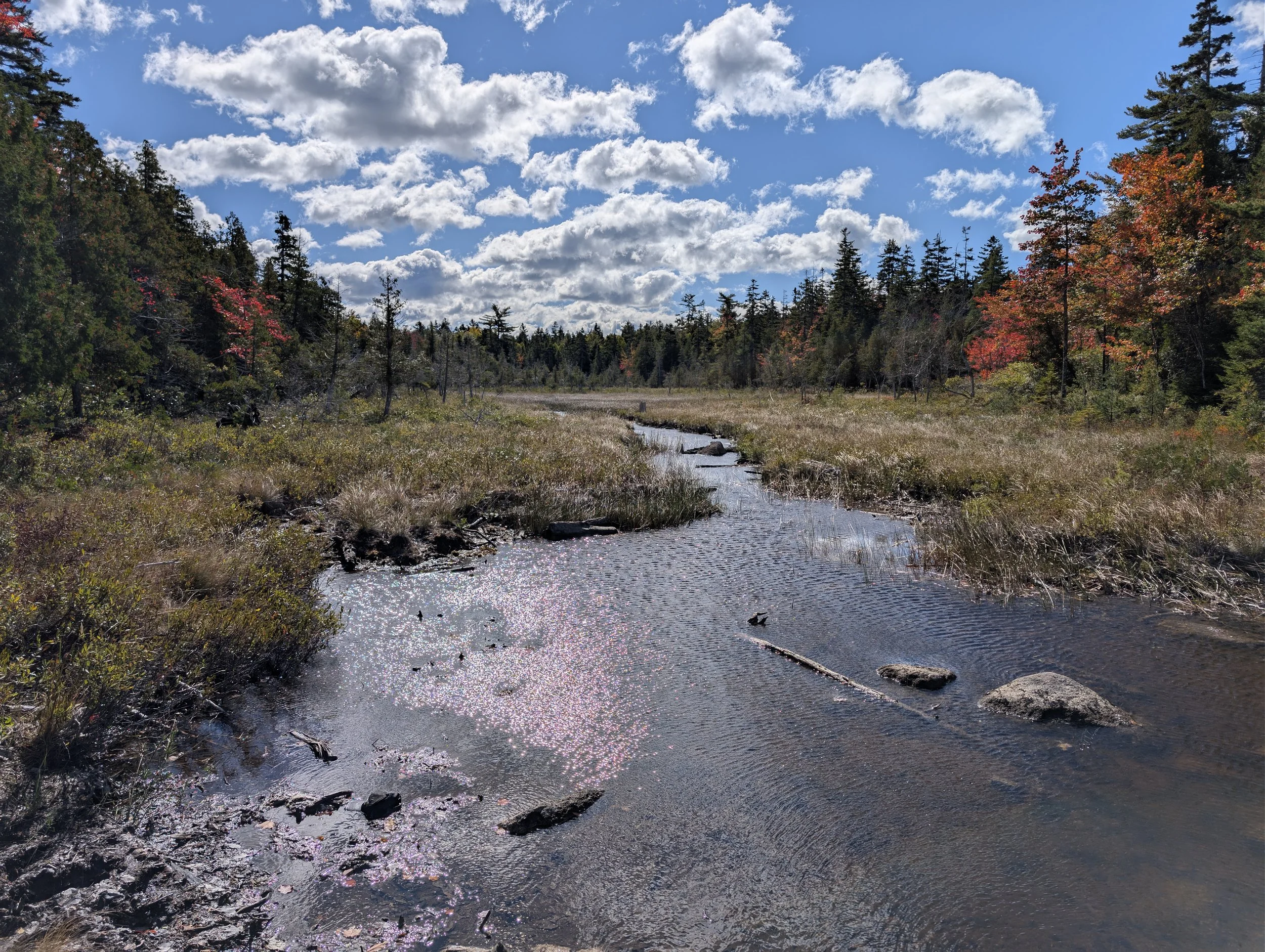 A small stream surrounded by trees under a blue sky with clouds.