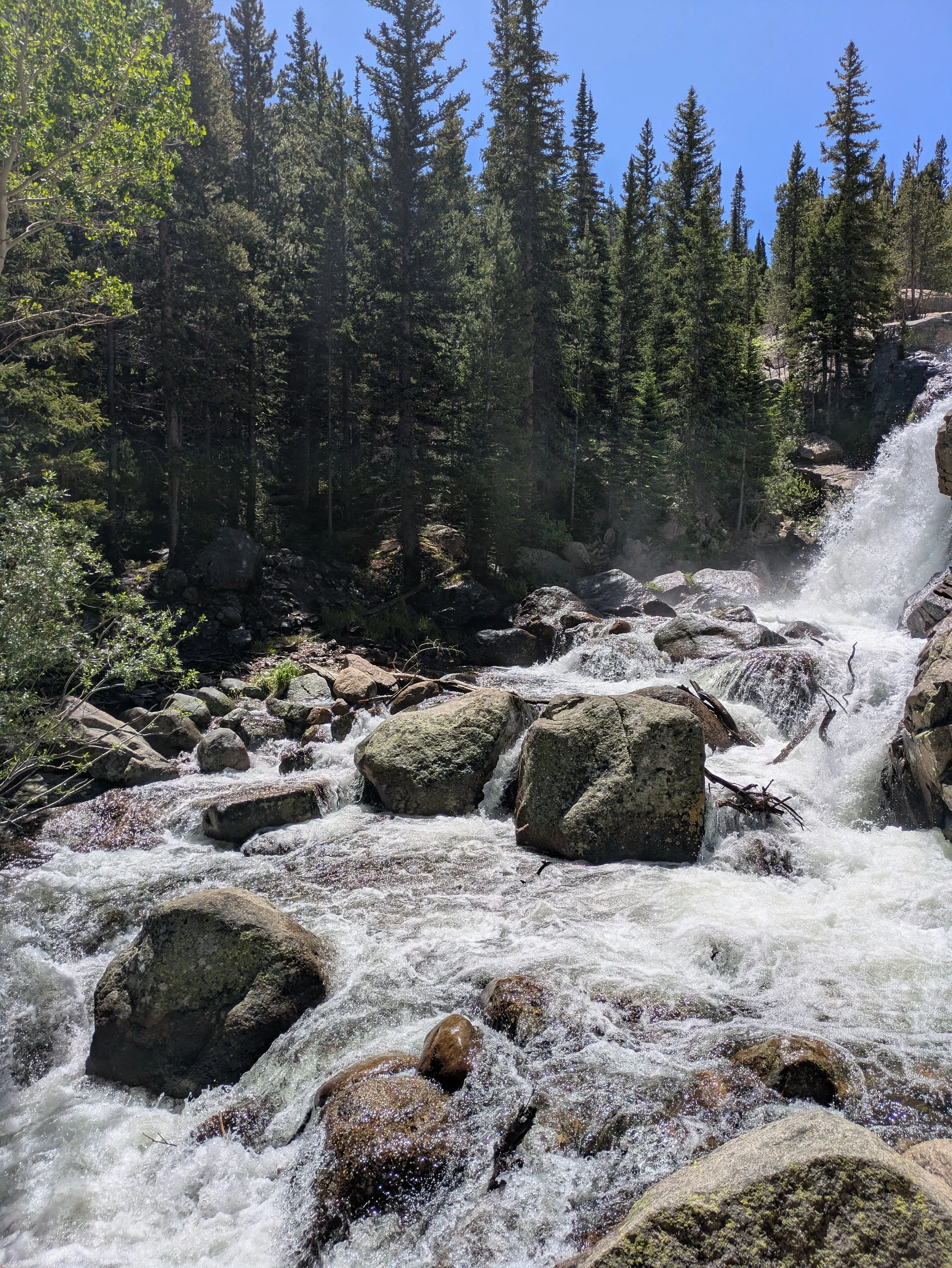 Alberta Falls within Rocky Mountain National Park