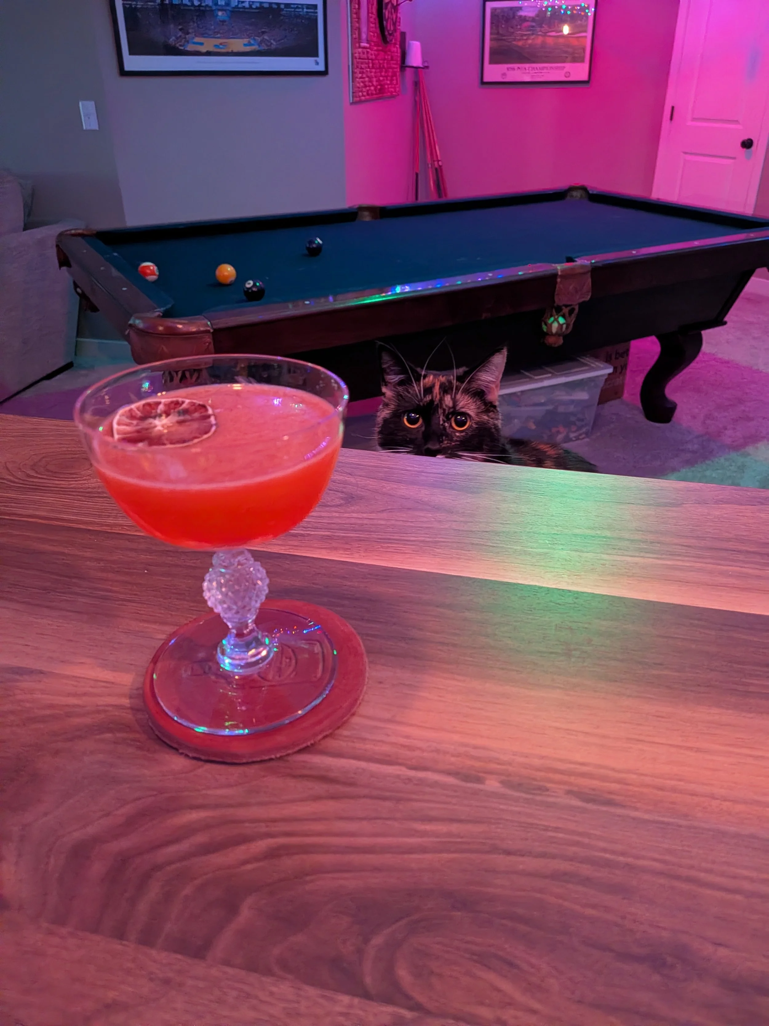 A cat eyeing a craft cocktail