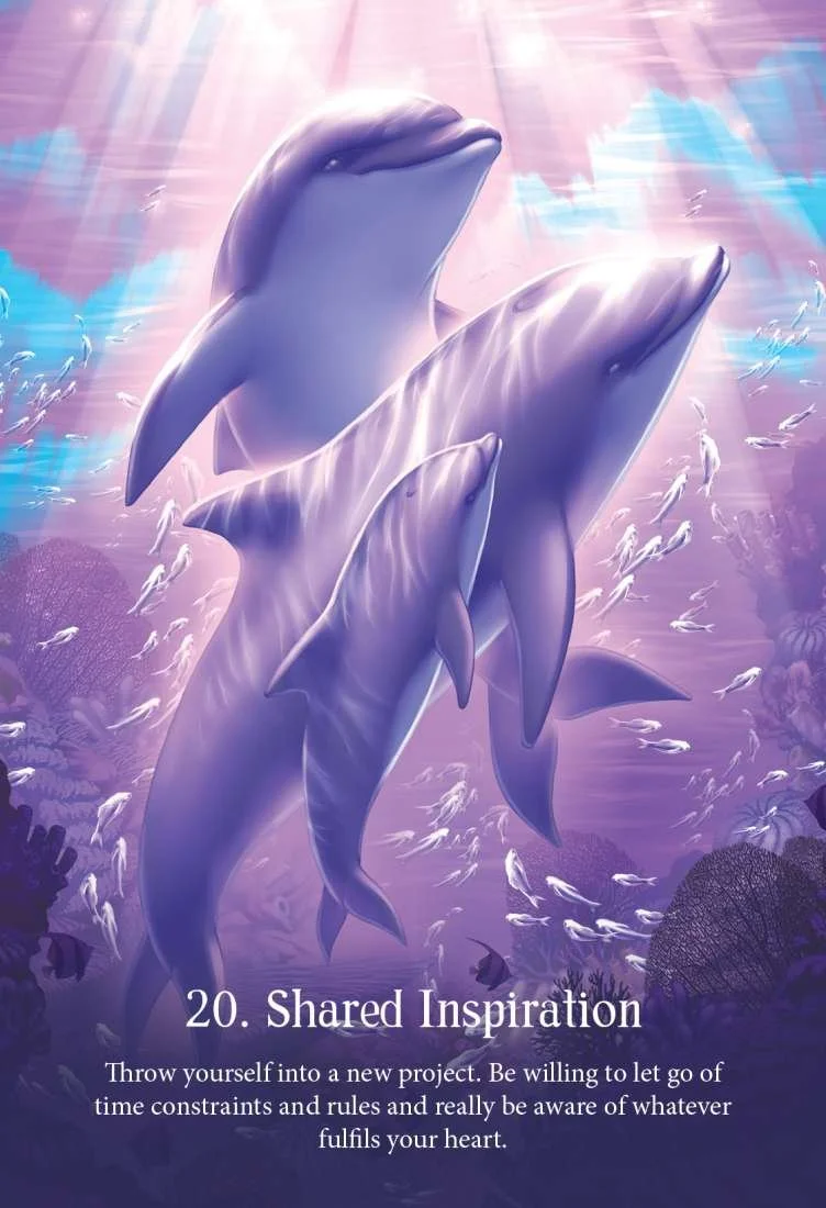 ocean6.jpeg