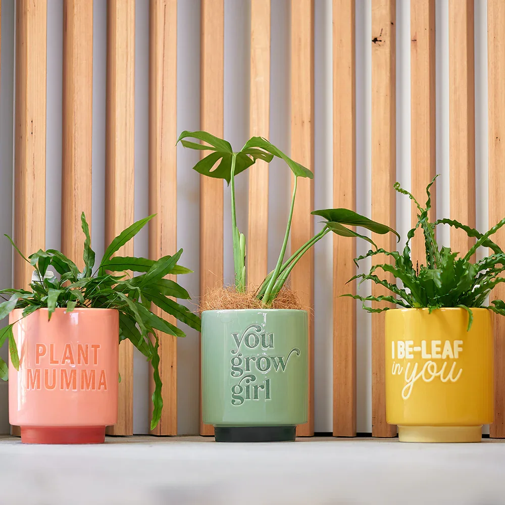 pot-lifestyleshotmumma.webp
