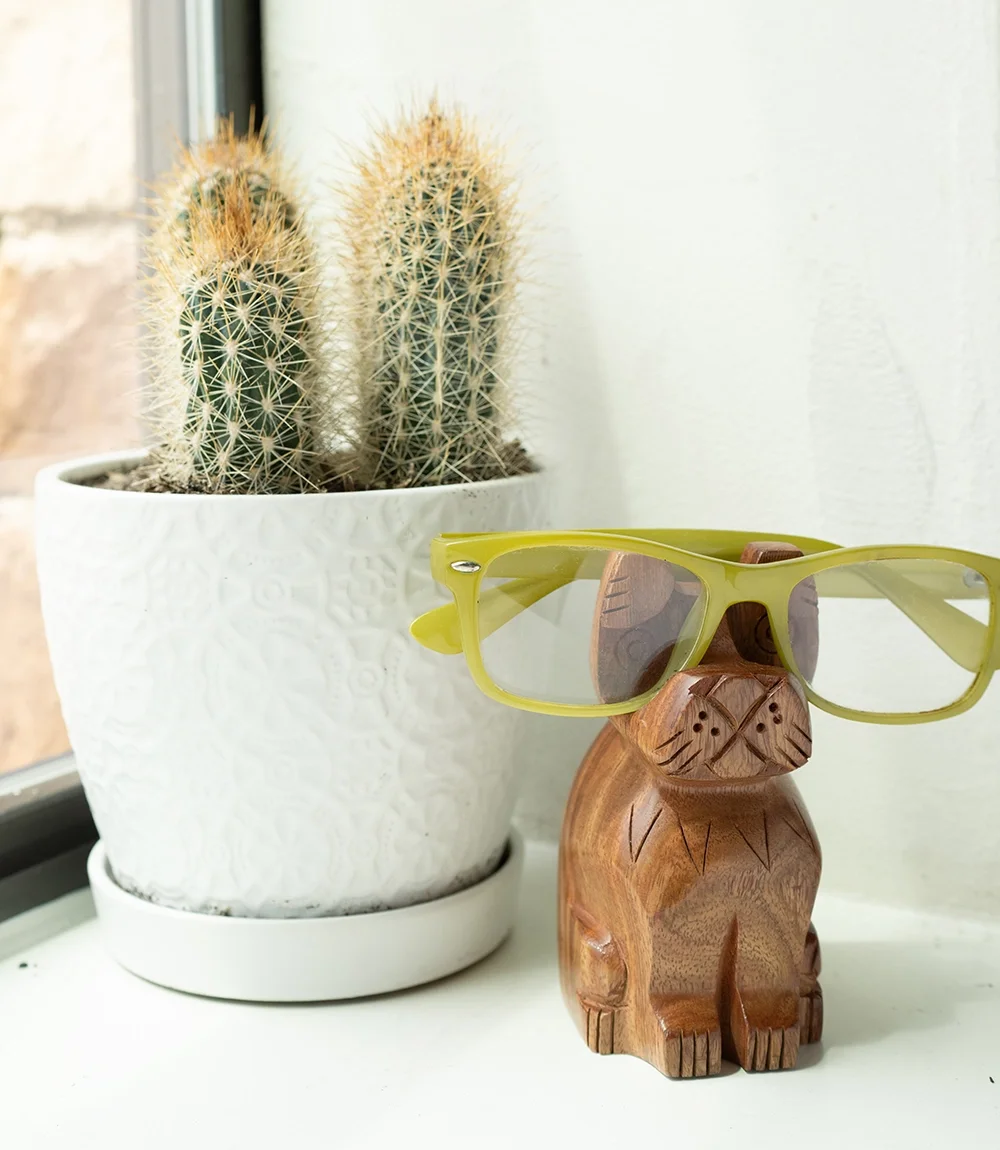 glassesholderdogmain.webp