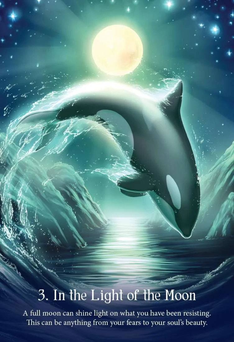 ocean4.jpeg